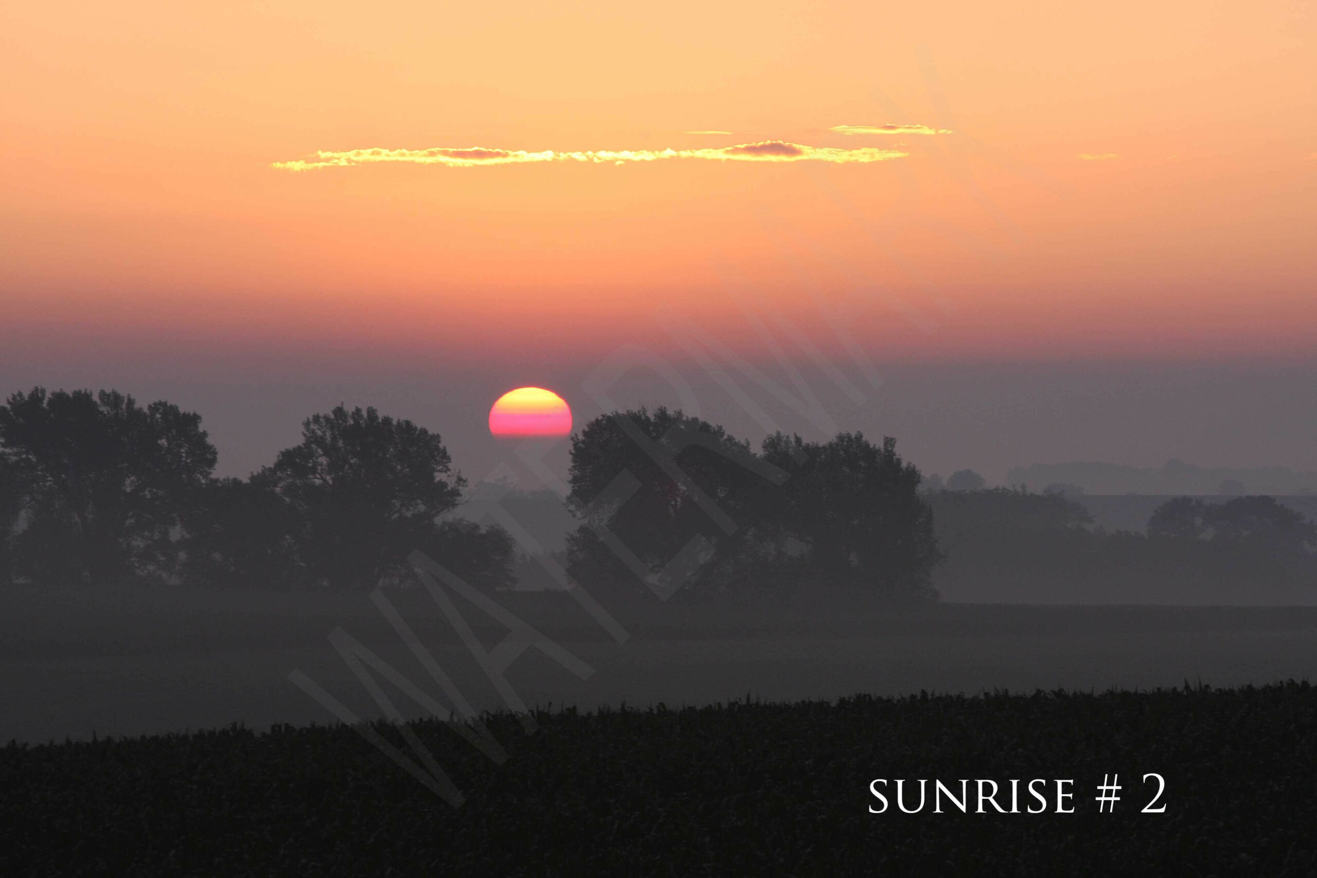 2014-07-10 DLL NE AM 006 # 2 wo br 1_wm