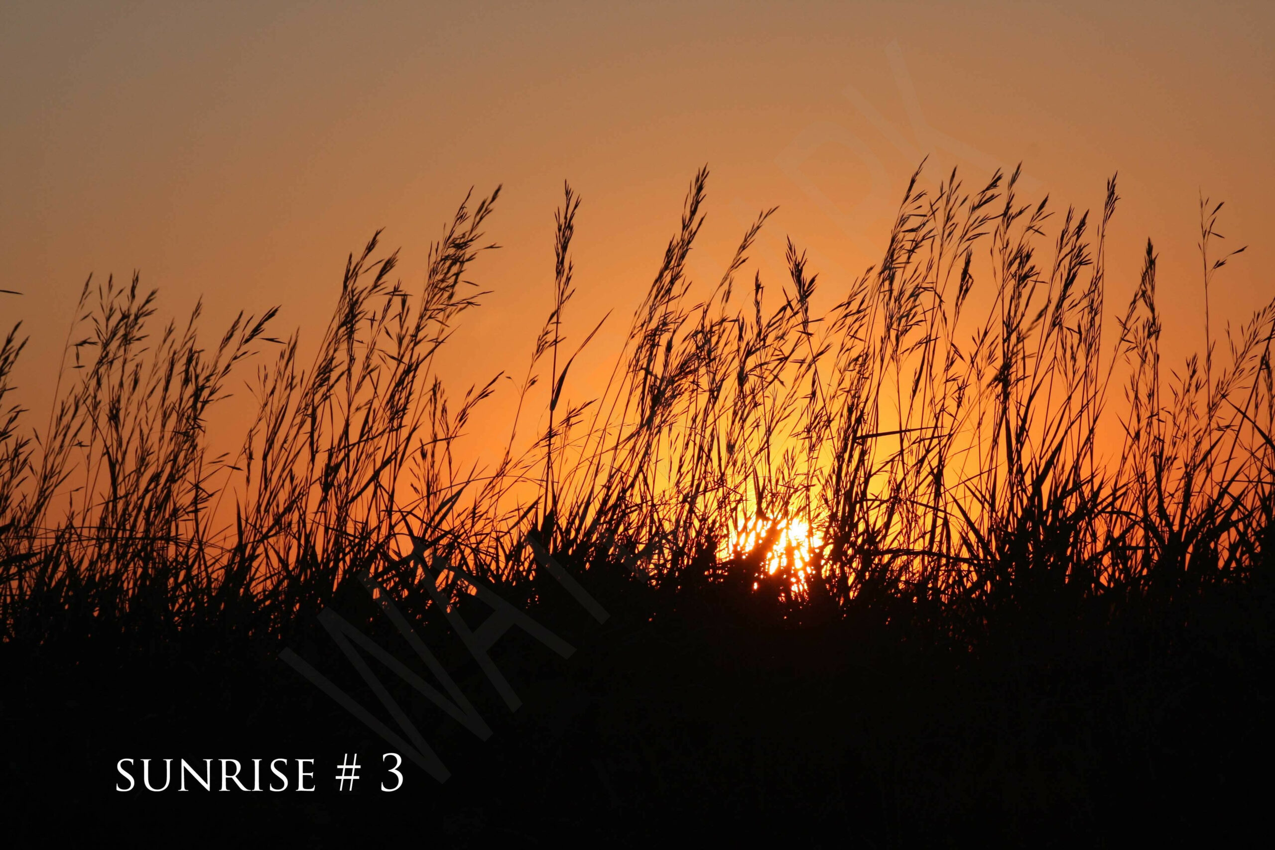 2014-07-15 DLL NE AM 011 # 3 wo br copy_wm