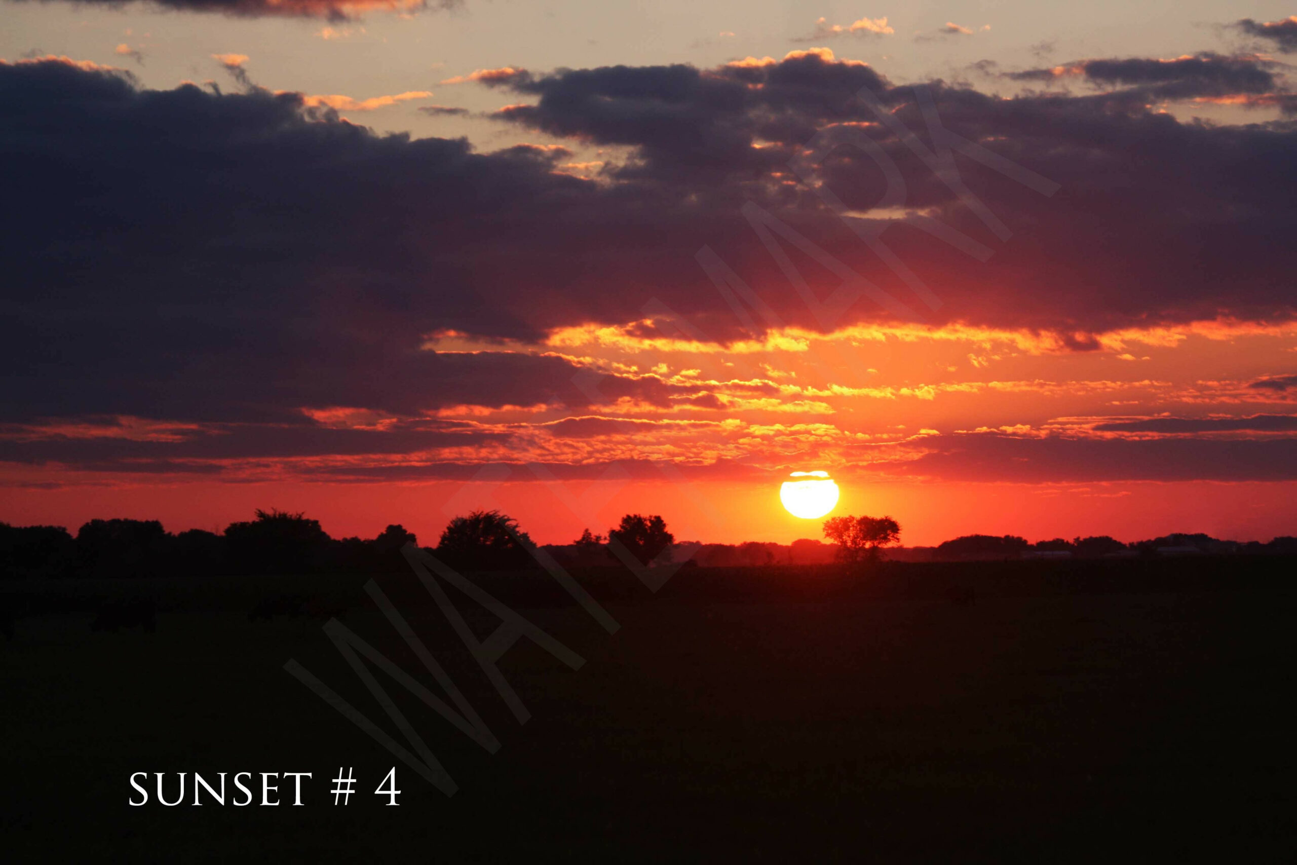 2014-07-15 DLL NE PM 010 # 4 wo br copy_wm