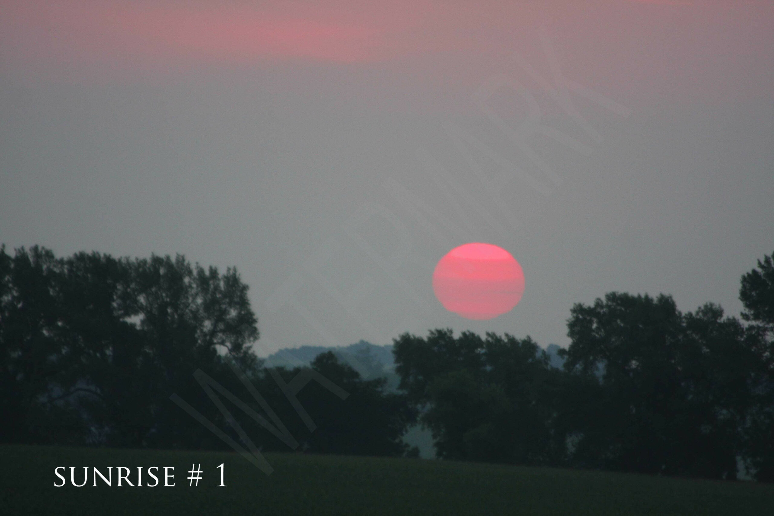 2014-07-20 DLL NE AM 003 # 1 wo br copy_wm