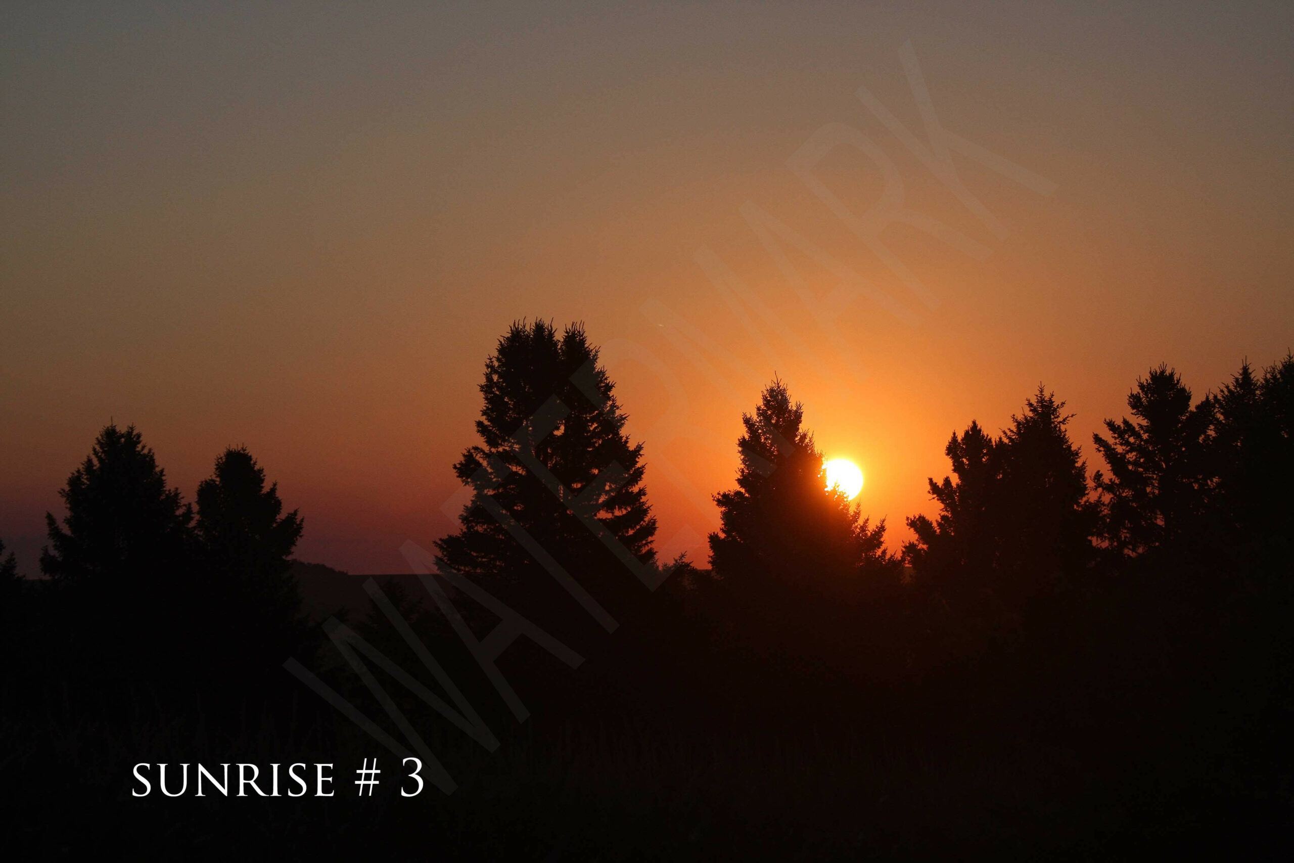 2014-07-30 DLL NE AM 013 # 3 wo br copy_wm