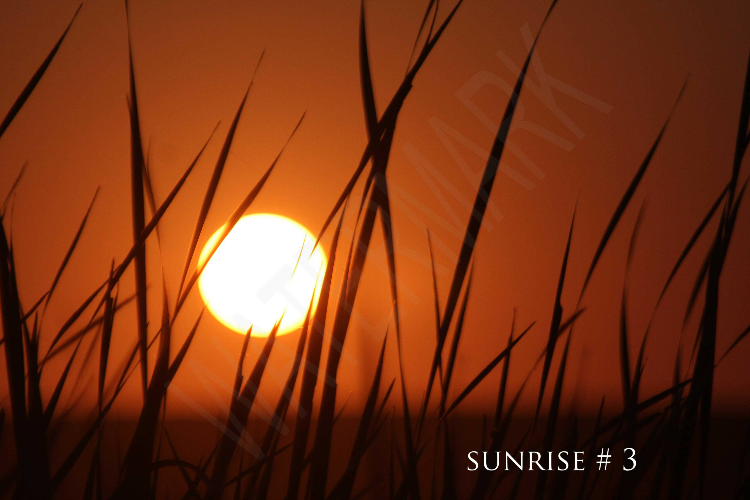 2014-07-31 DLL NE AM 011 # 3 wo br copy_wm