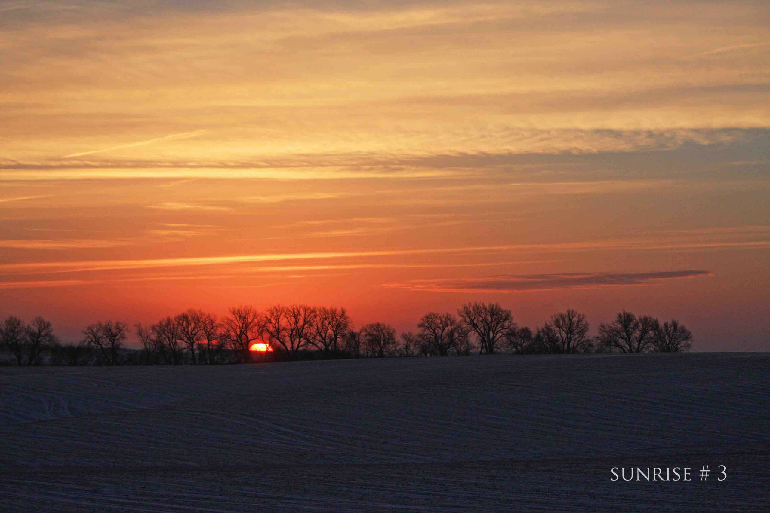 2014-01-03 DLL NE AM 023 # 3 copy
