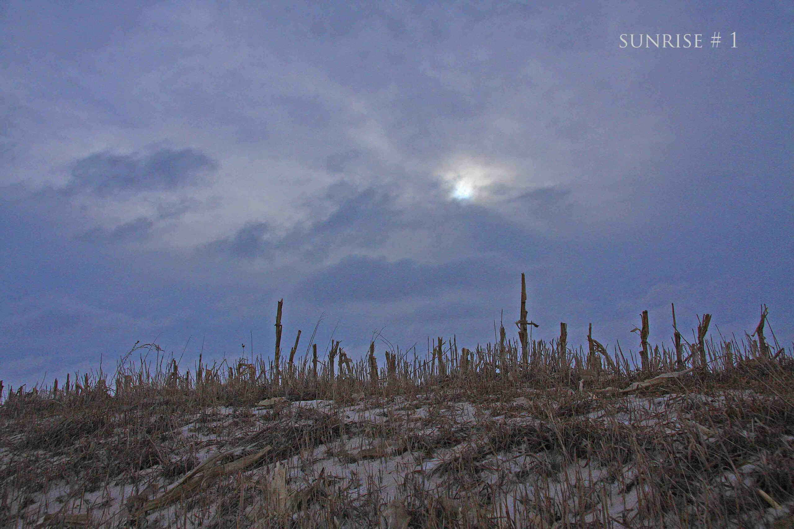 2014-01-04 DLL NE AM 055 # 3