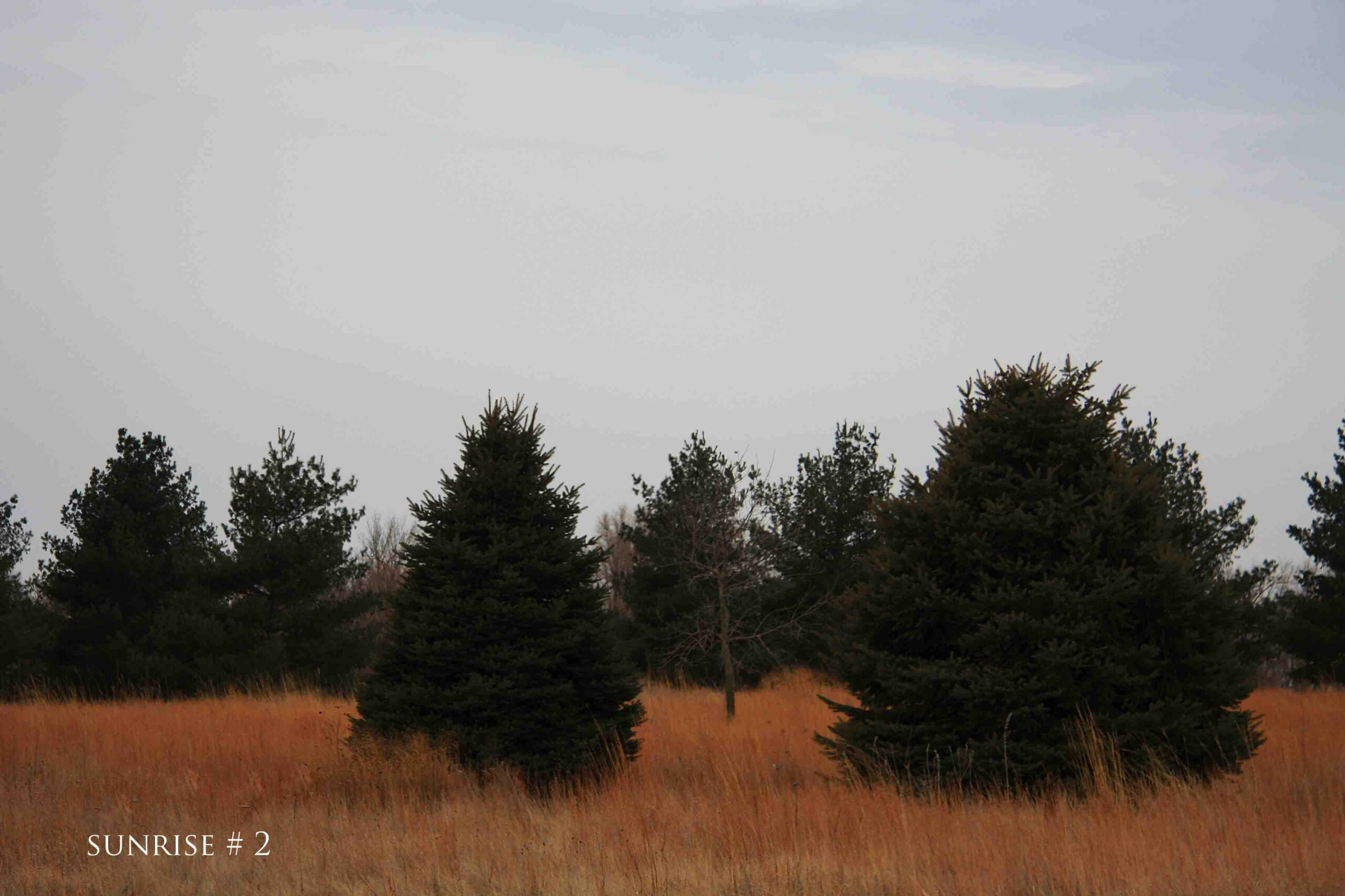 2014-01-08 DLL NE AM 084 # 2 copy