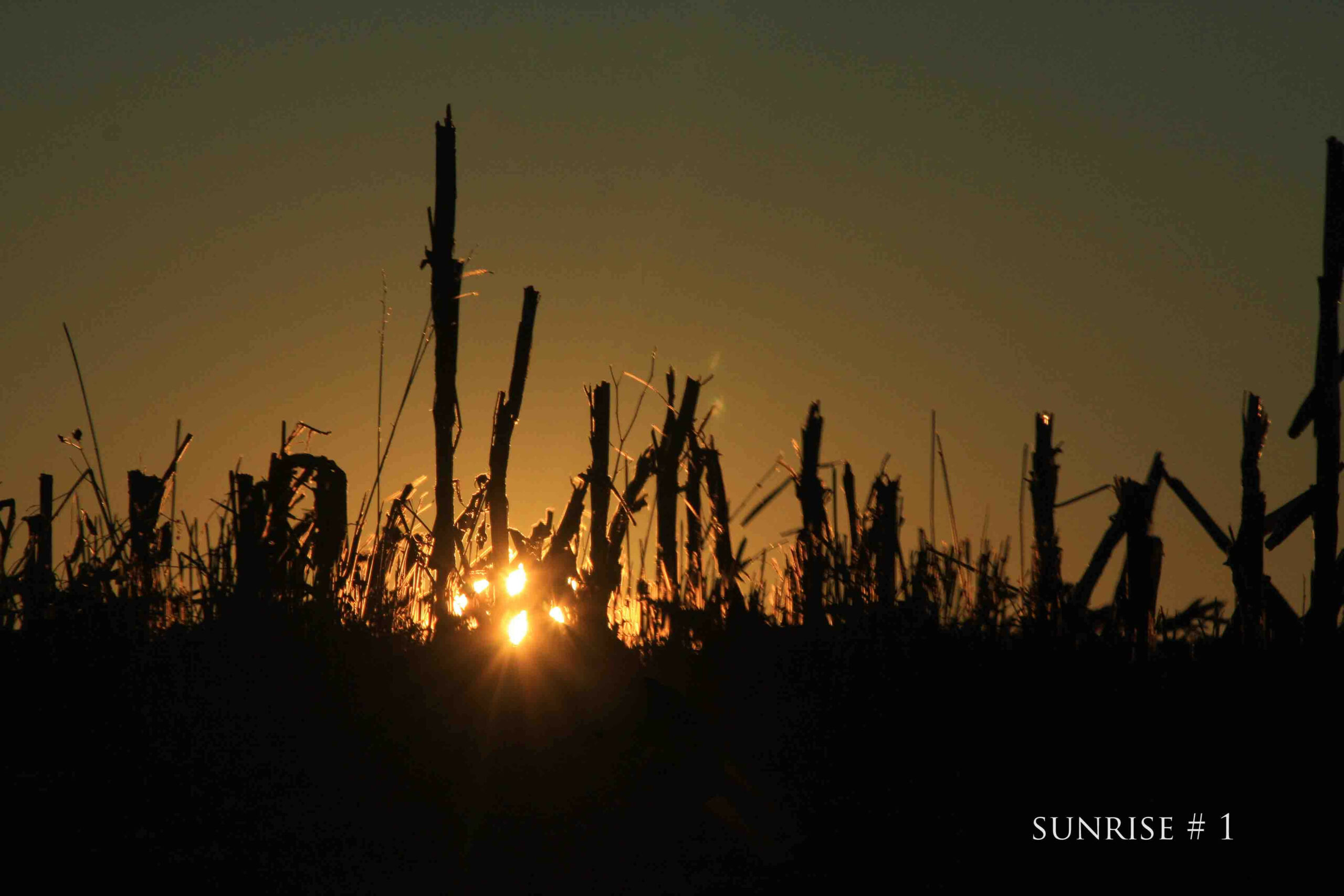 2014-01-11 DLL NE AM 018 # 1 copy