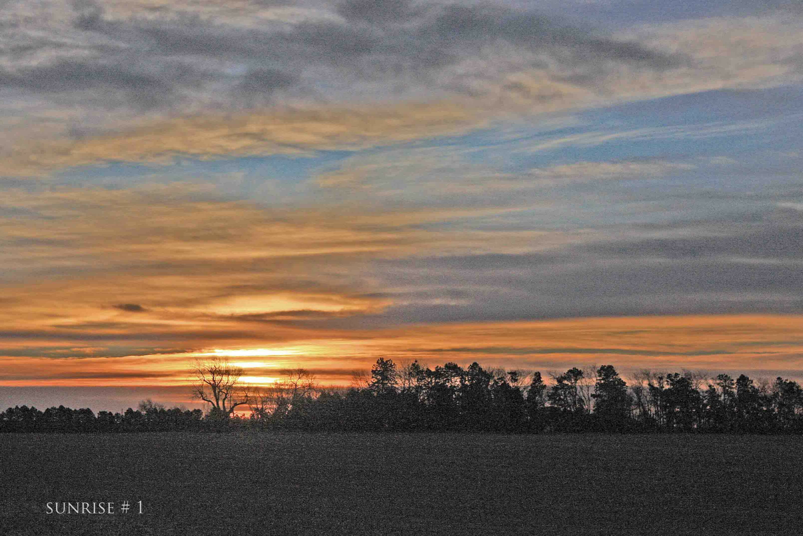 2014-01-12 DLL NE AM 080 # 1_edited-2