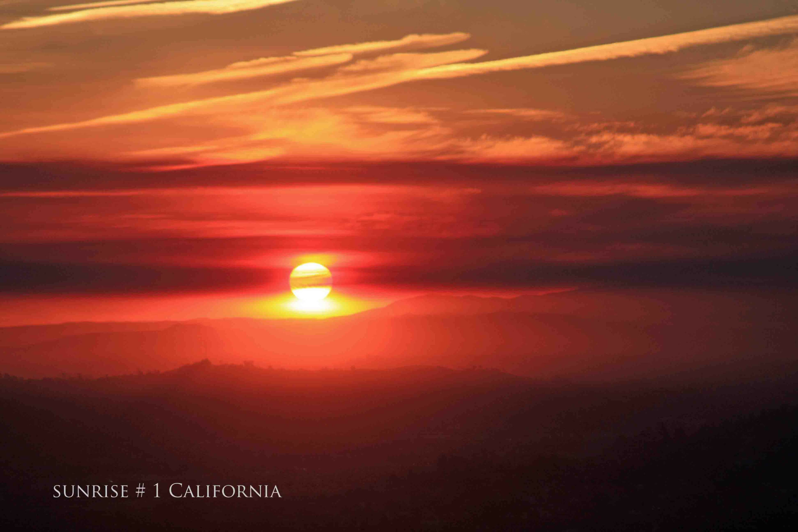 2014-01-18 ACL NE AM # 1 Cal_edited-1