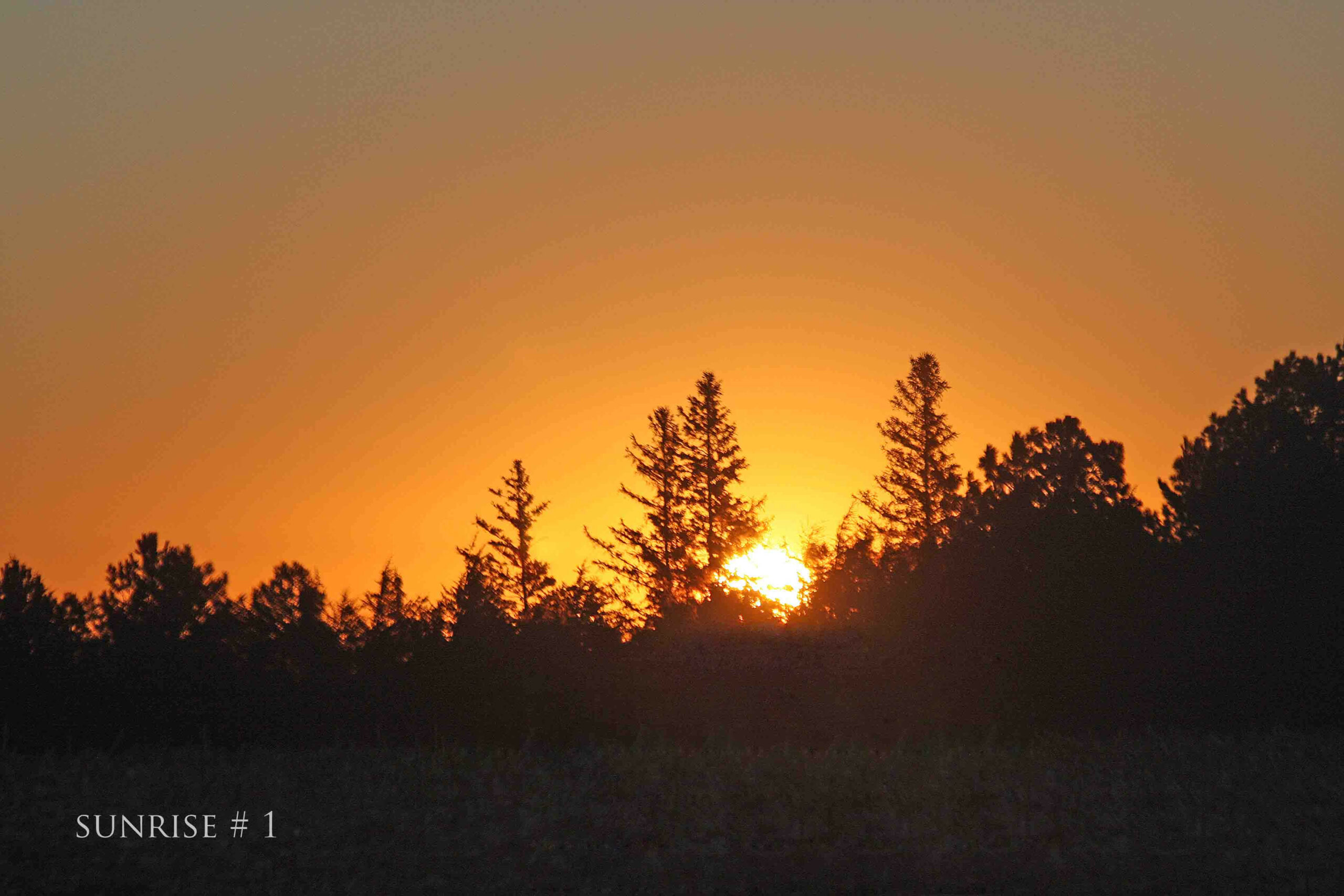 2014-01-29 DLL NE AM 029 # 1