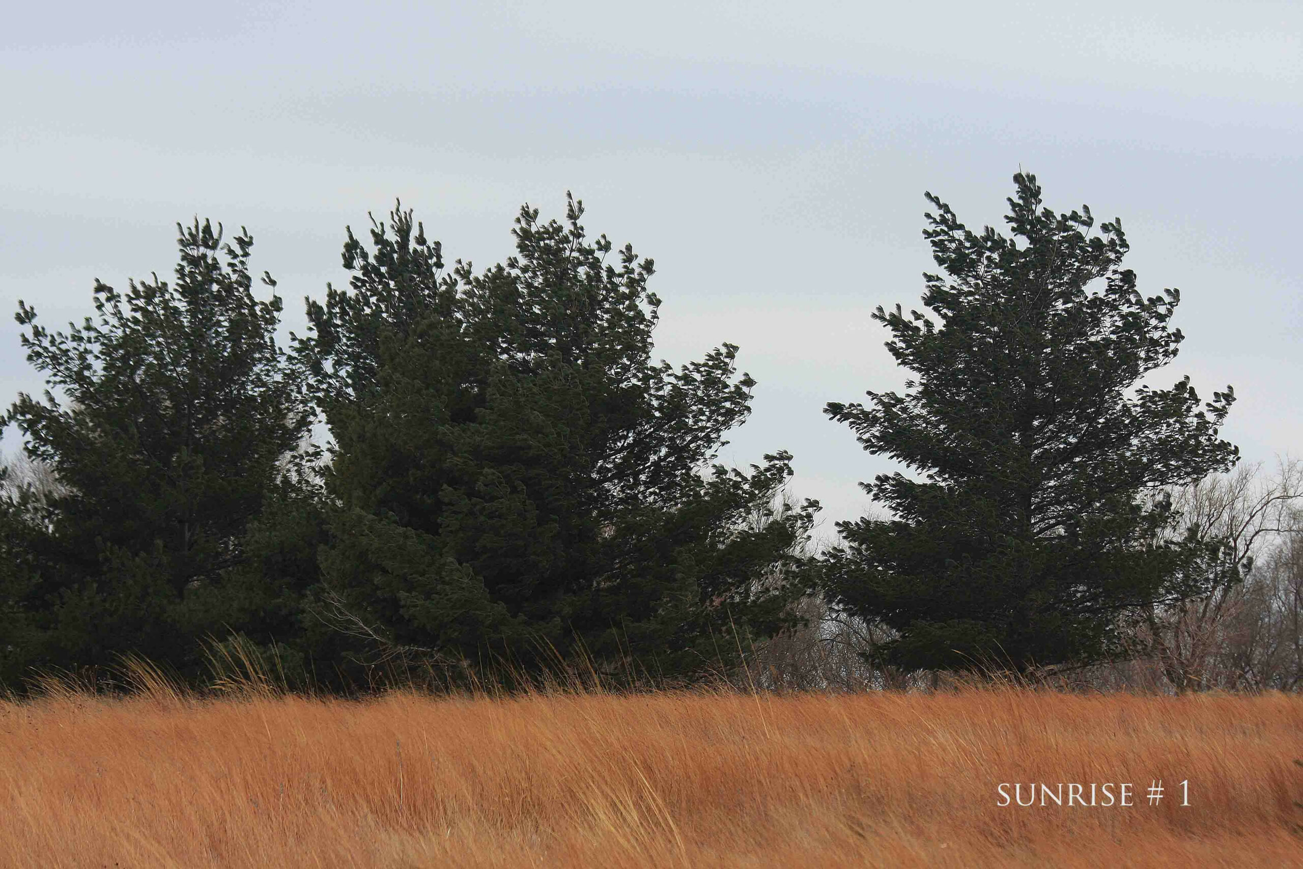 2014-01-30 DLL NE AM 058 # 1