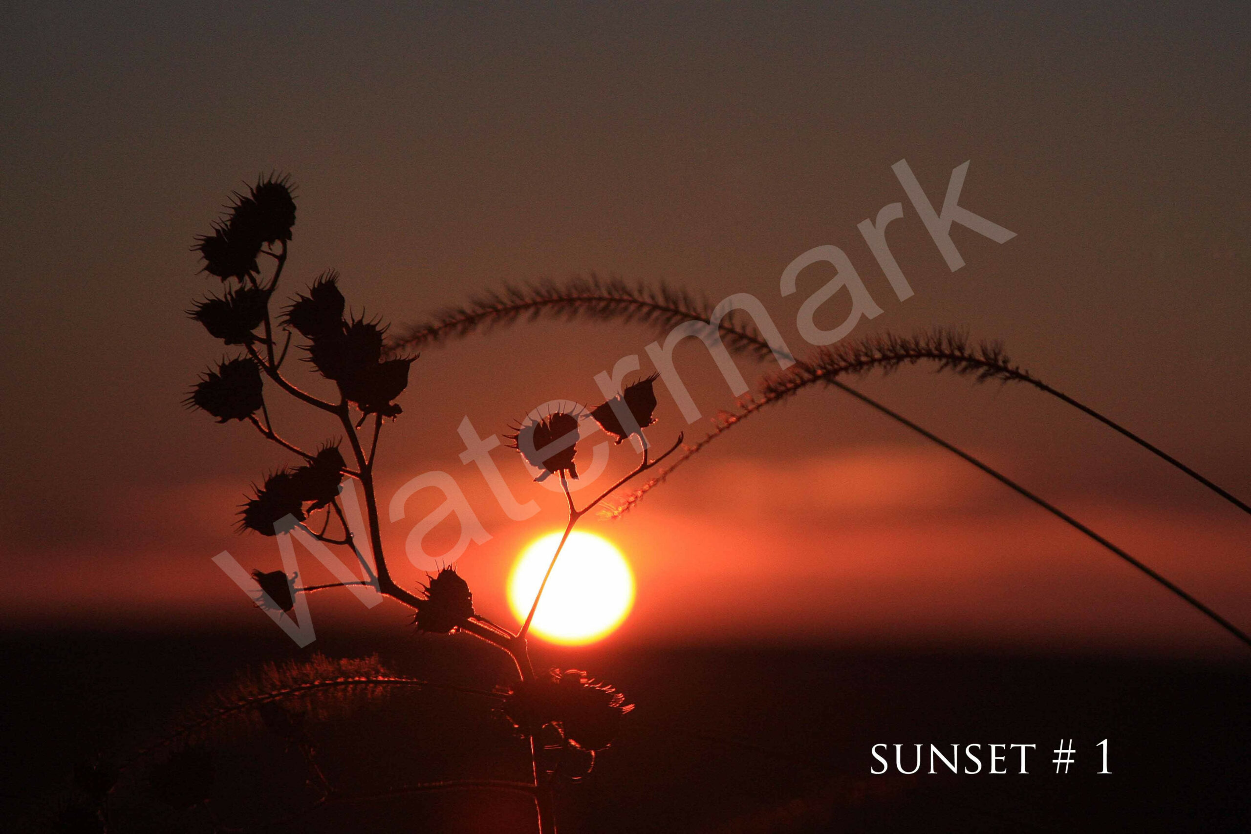 2013-12-14 DLL NE PM 017 wo br copy_wm