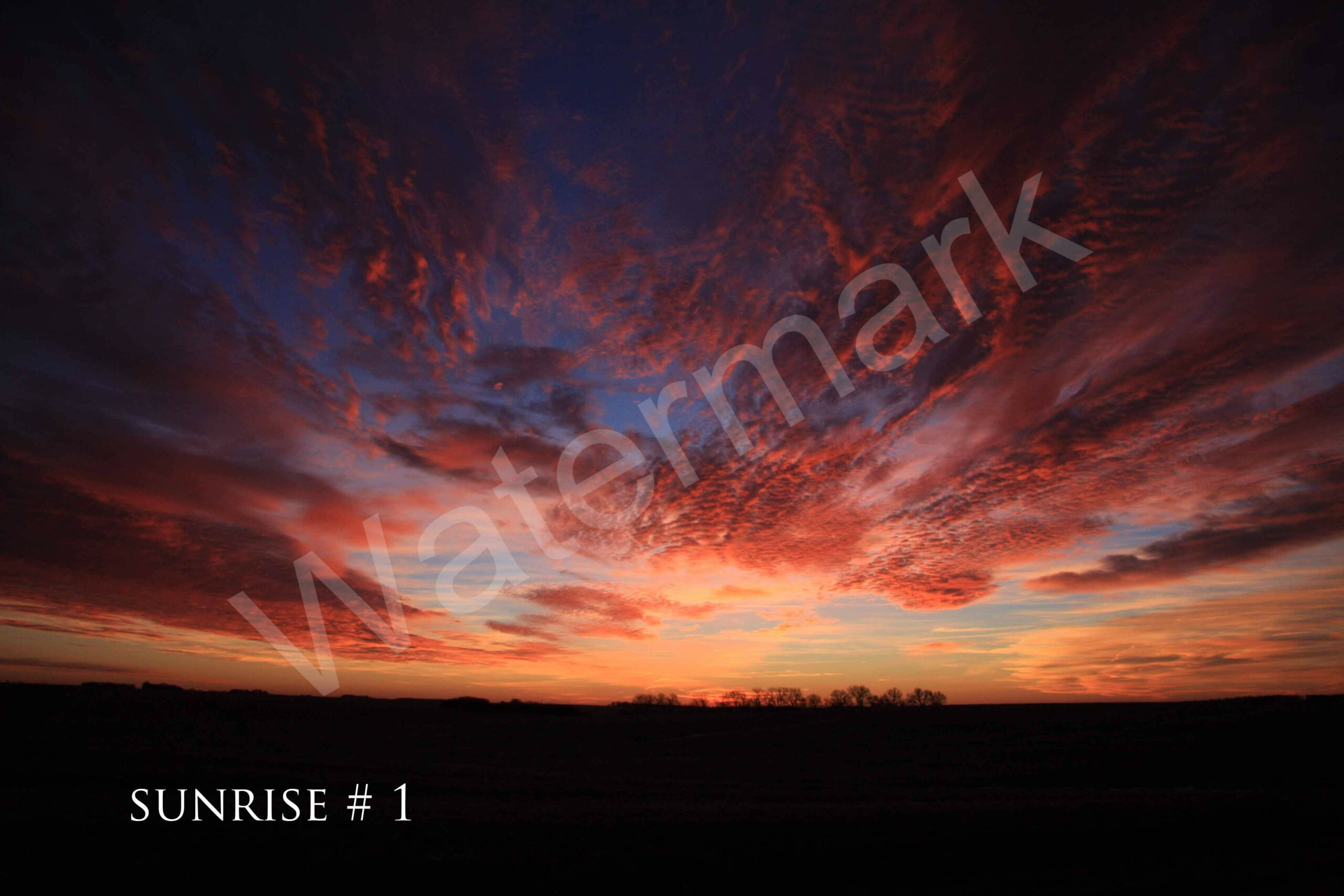 2013-12-18 DLL NE AM 051 copy_wm