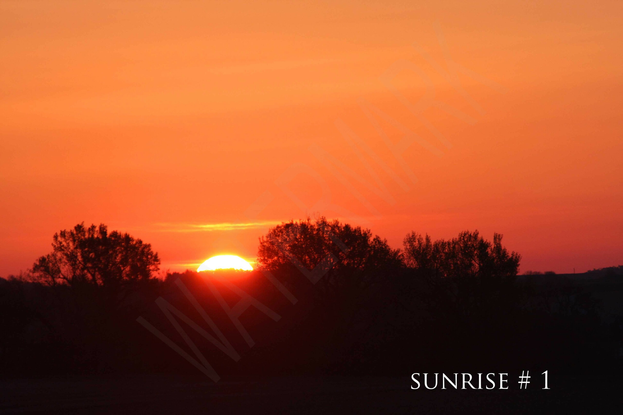 2014-05-15 DLL NE AM 002 # 1 wo br copy_wm