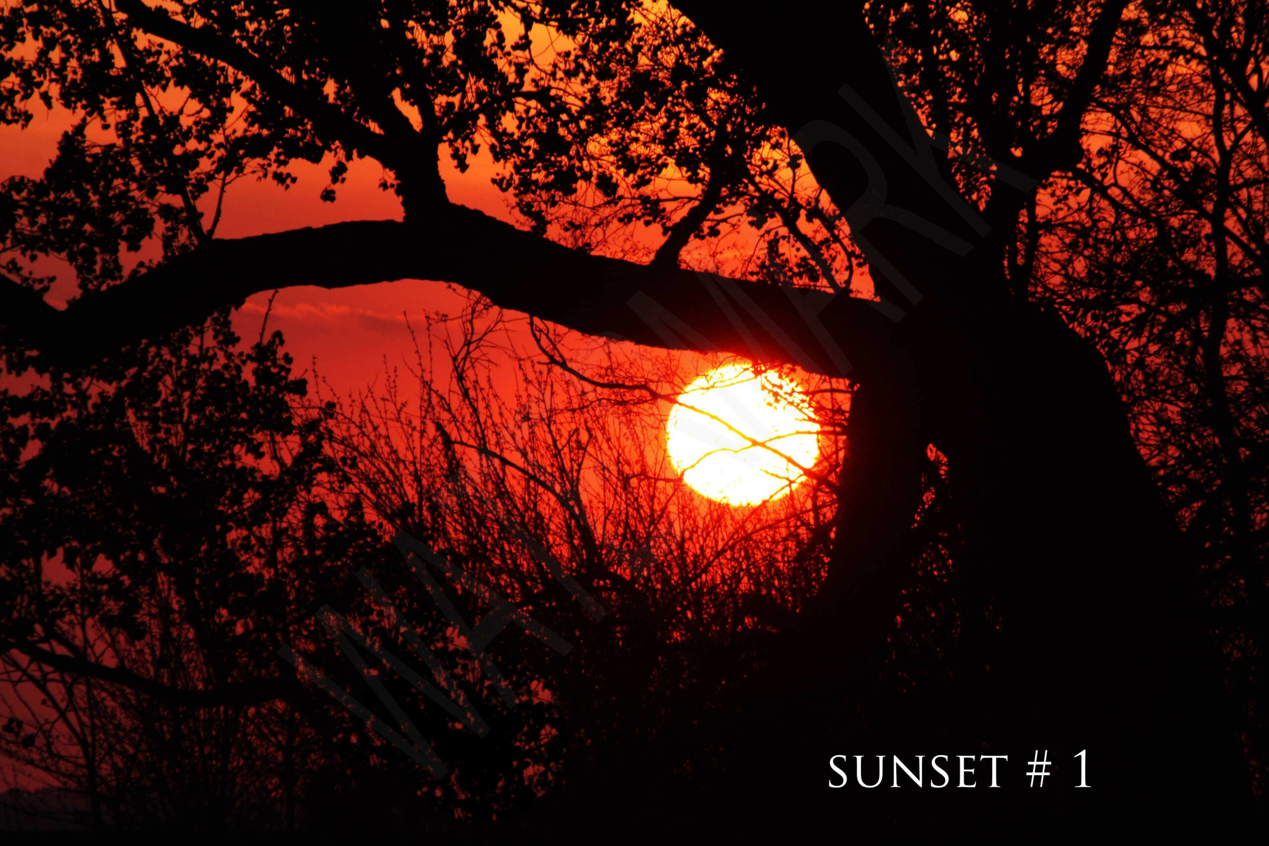 2014-05-17 DLL NE PM 002 # 1 wo br copy_wm