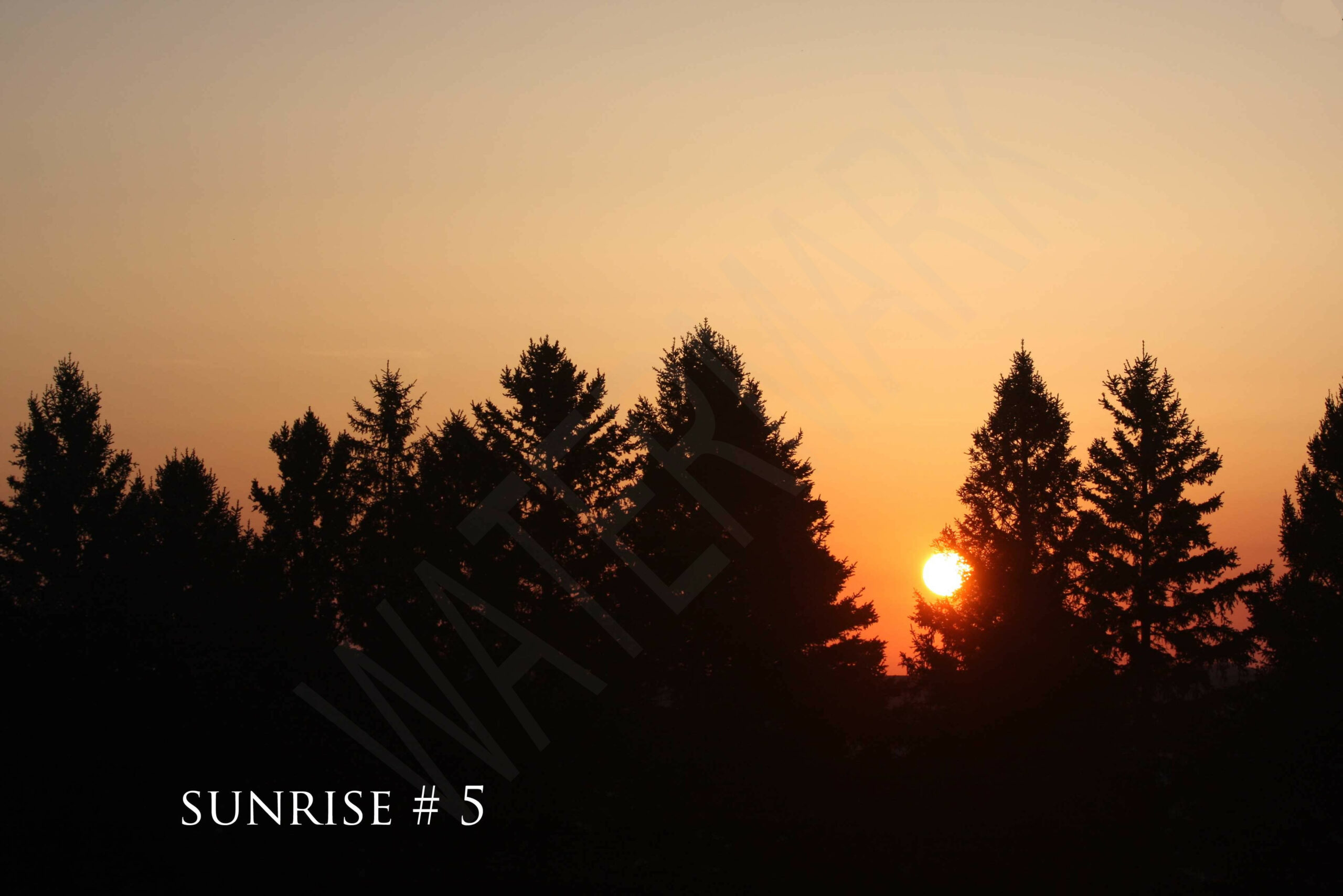 2014-05-18 DLL NE AM 030 # 5 wo br copy_wm