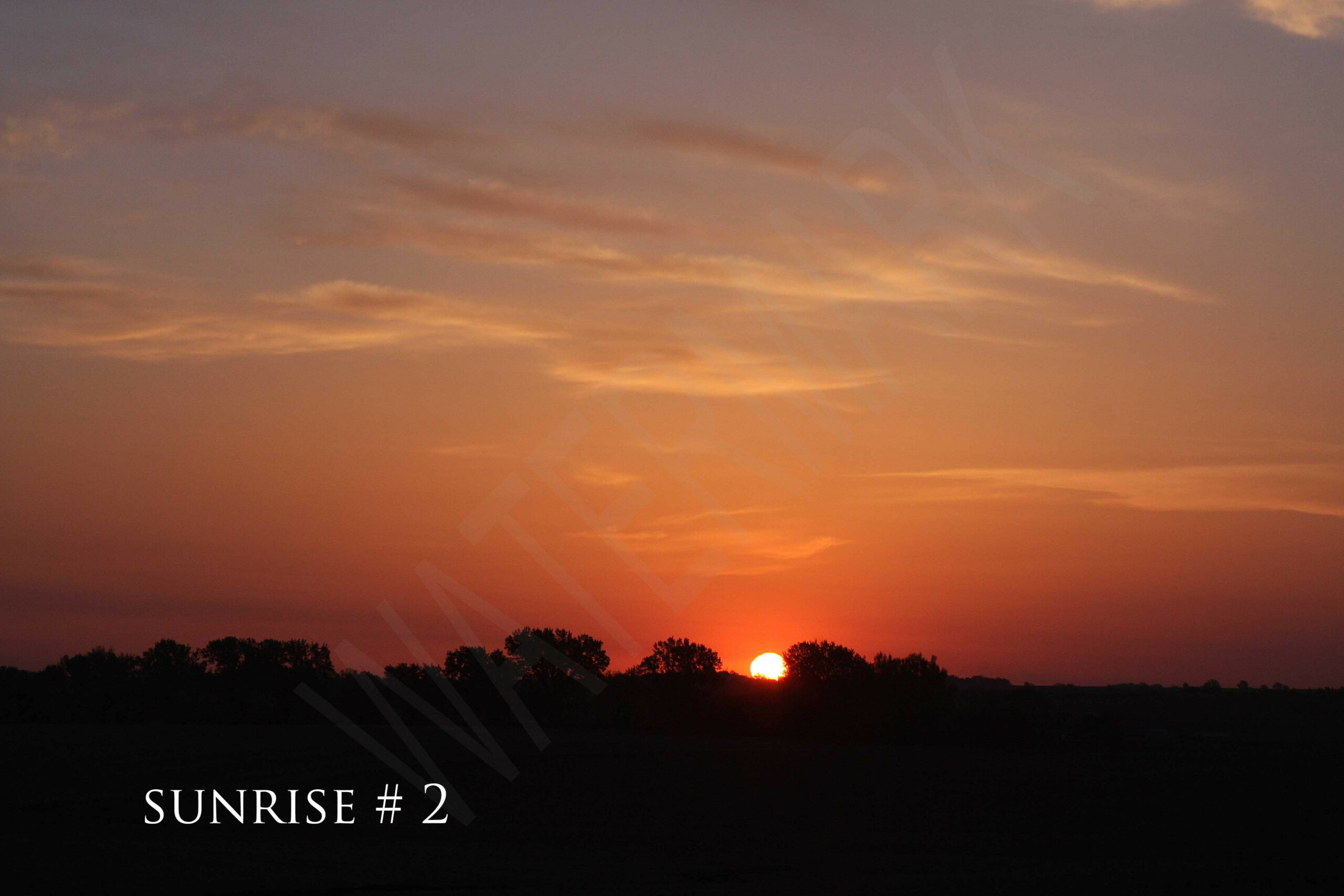 2014-05-21 DLL NE AM 008 # 2 wo br copy_wm