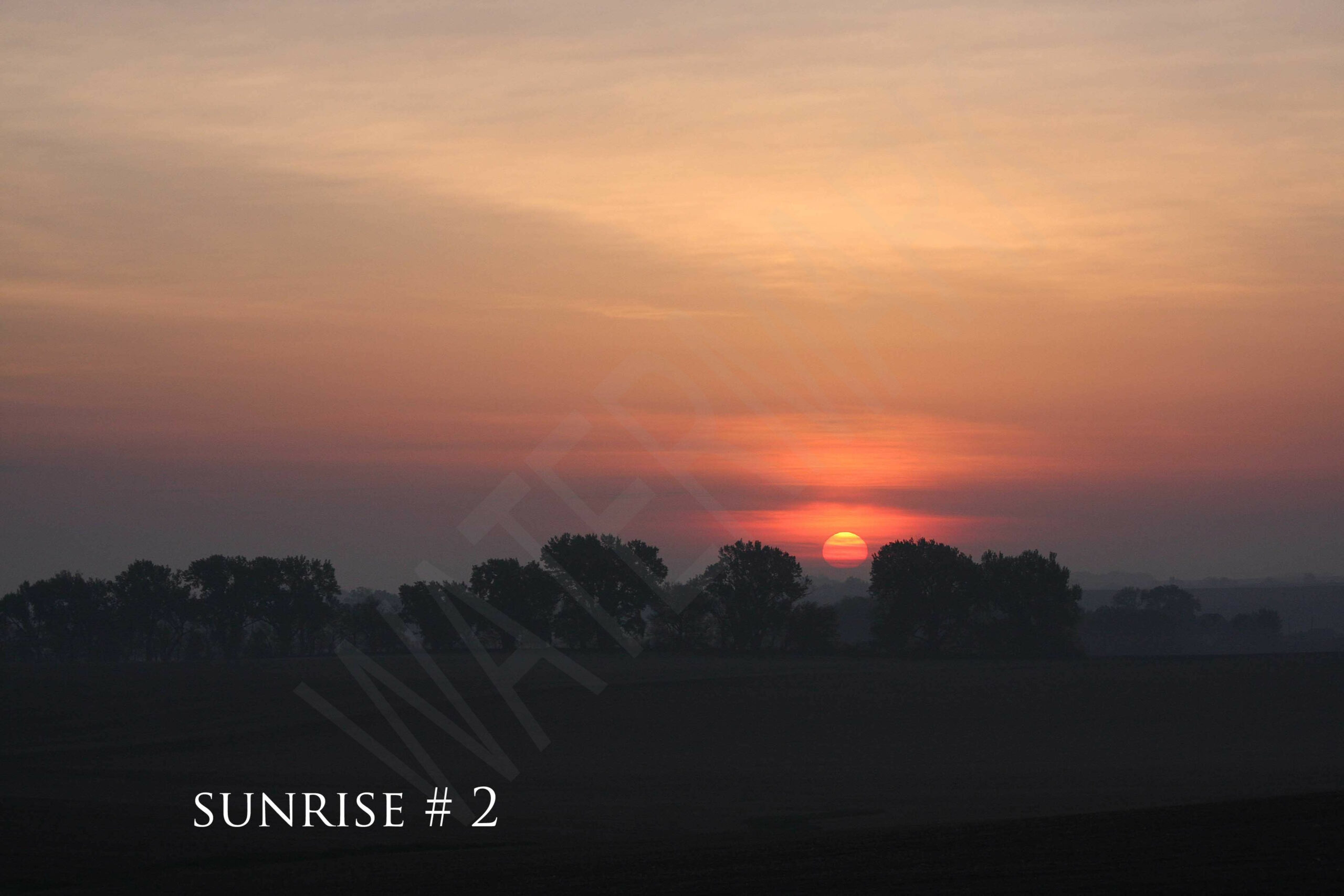 2014-05-23 DLL NE AM 009 # 2 wo br copy_wm