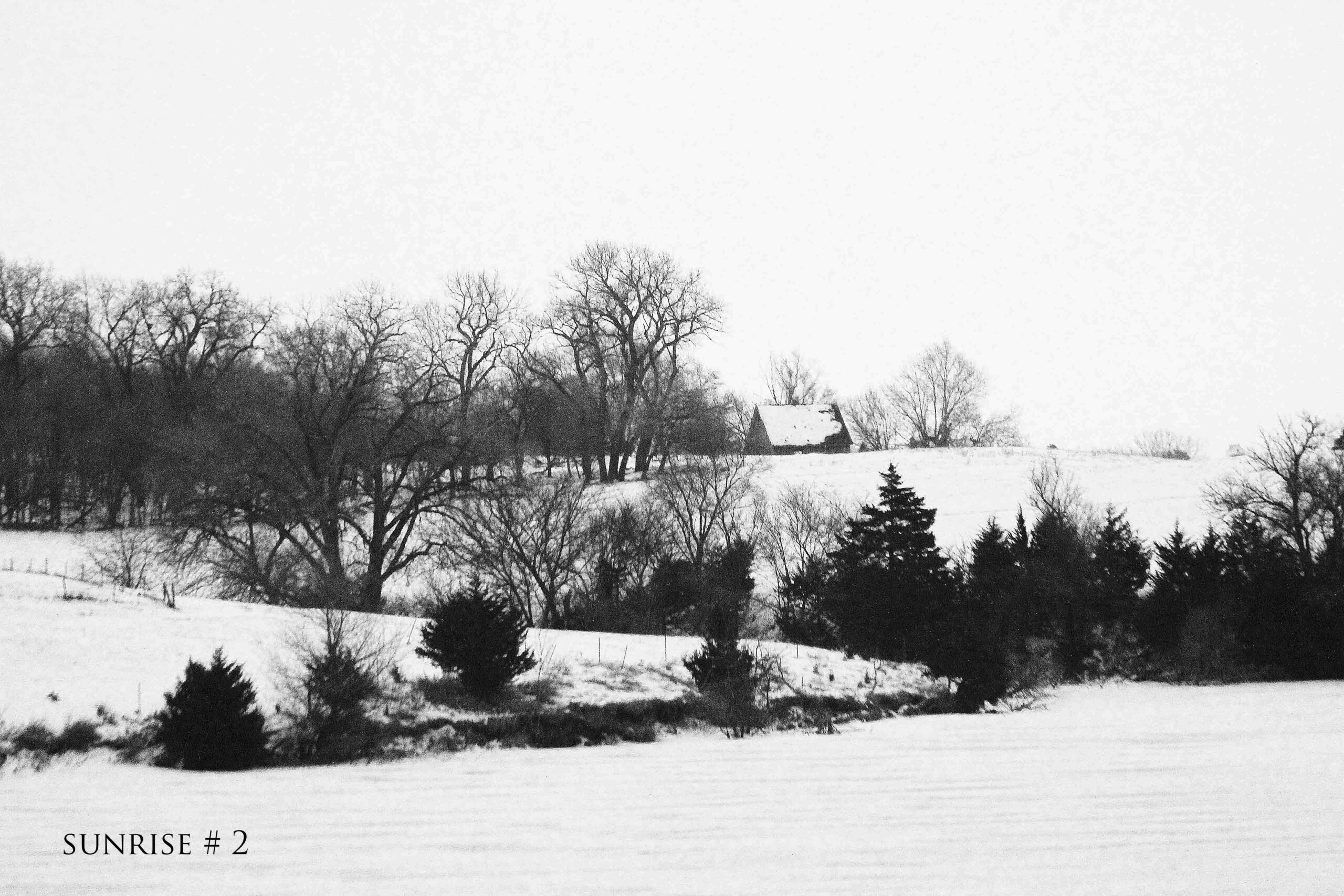 2020-01-27 IMG_7776 DLL NE AM # 2