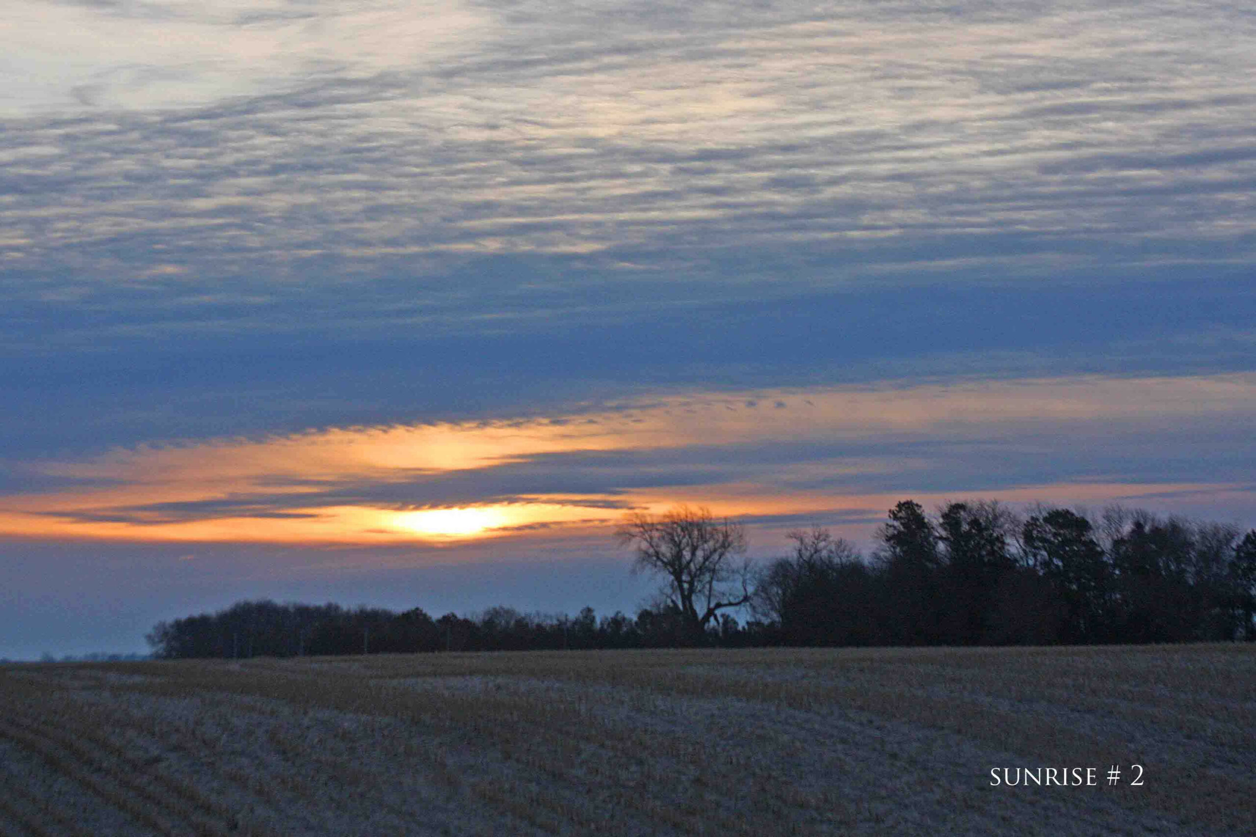 Photography #33031 from 2020-02-24 Sunrise