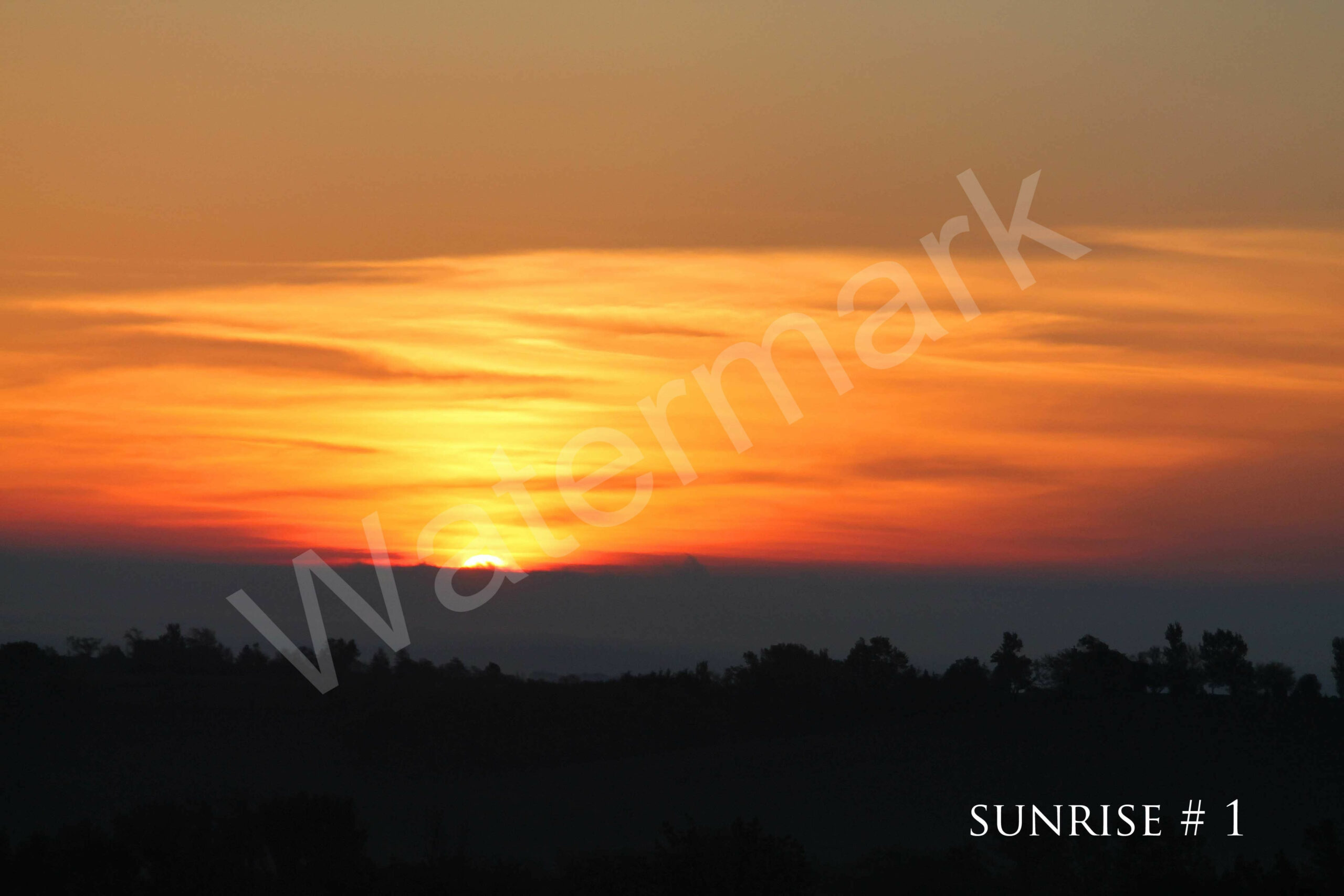 04-14-2012 DLL NE AM 012 # 1 wo br copy_wm