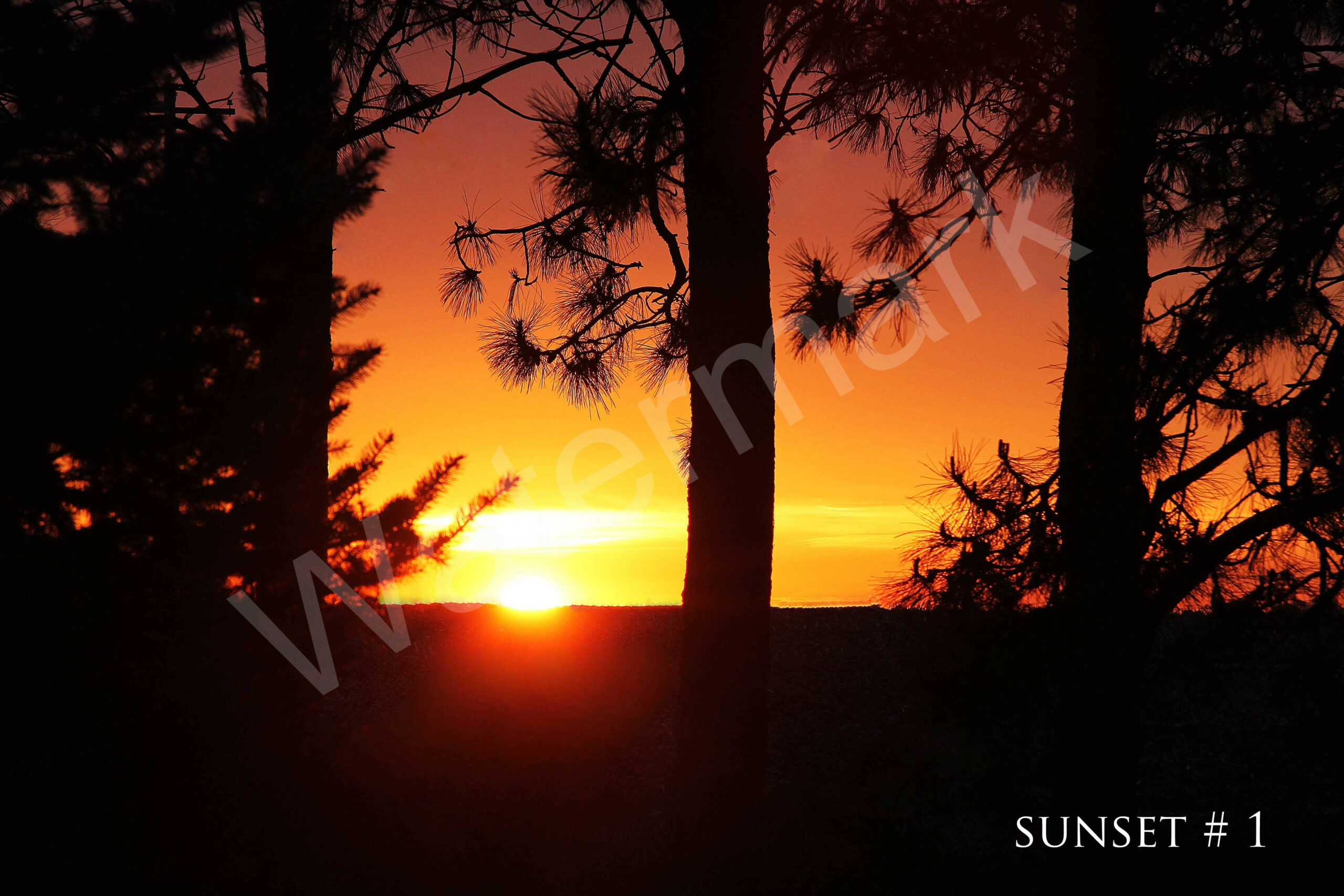 04-18-2012 DLL NE PM 022 # 1 wo br copy_wm