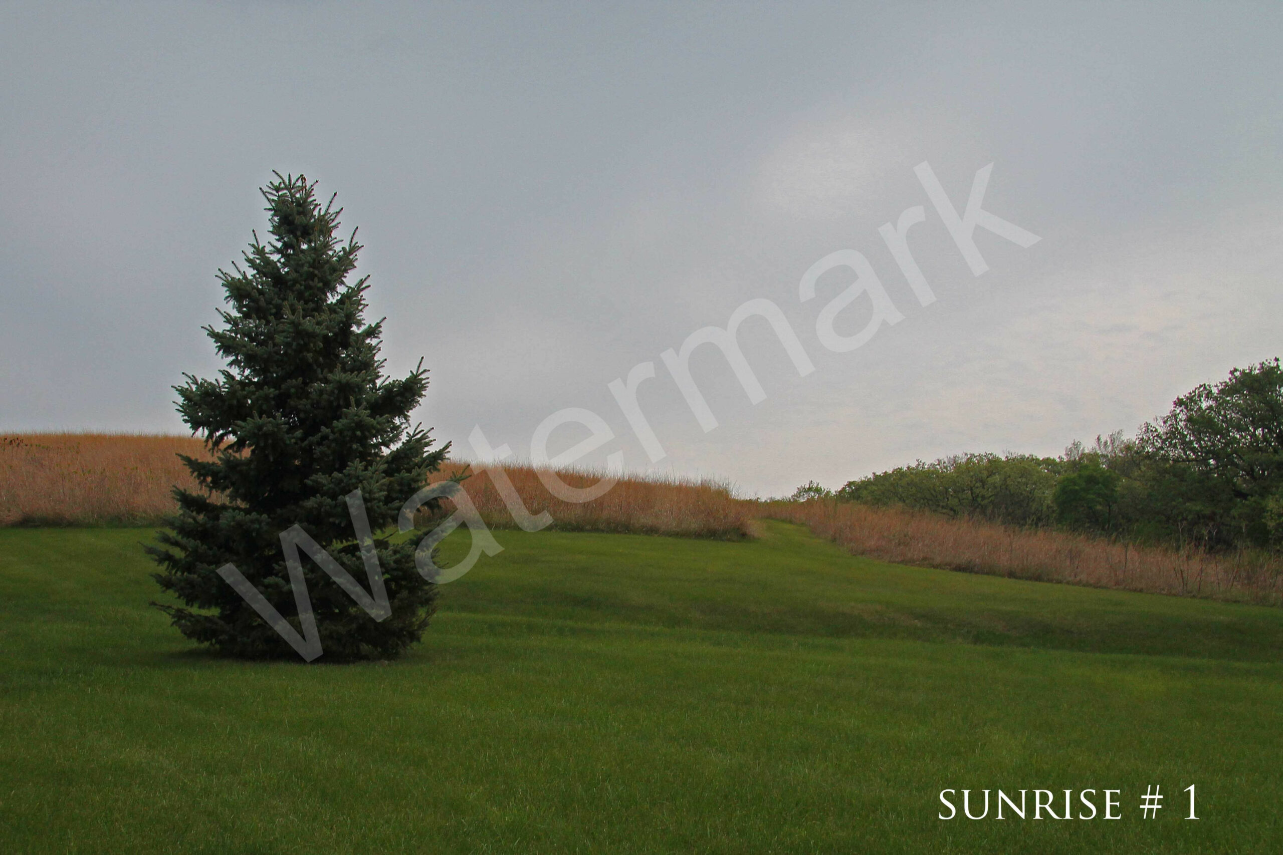 04-19-2012 DLL NE AM 002 # 1 wo br copy_wm