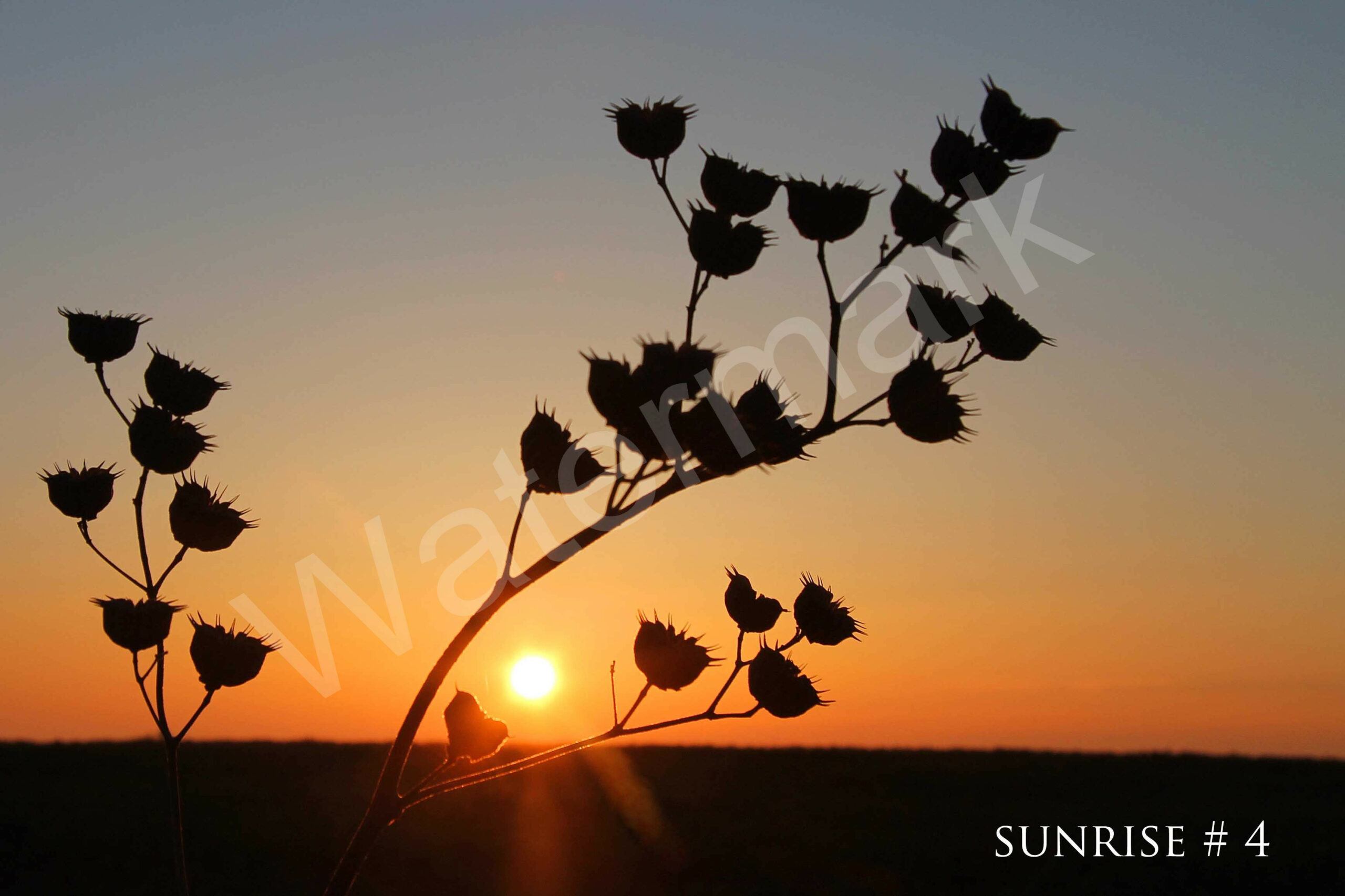 04-20-2012 DLL NE AM 012 # 4 wo br copy_wm