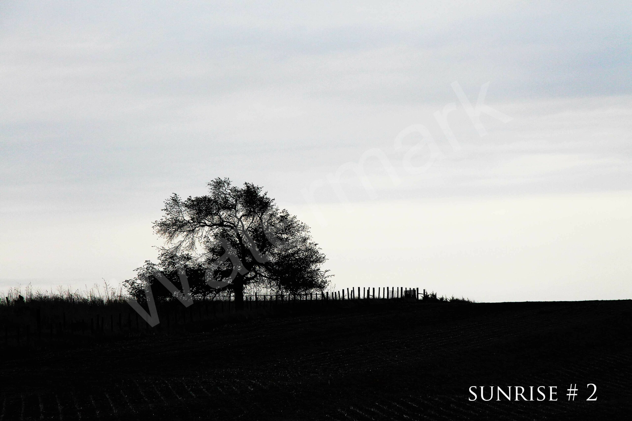 04-21-2012 DLL NE AM 007 #2 wo br copy_wm