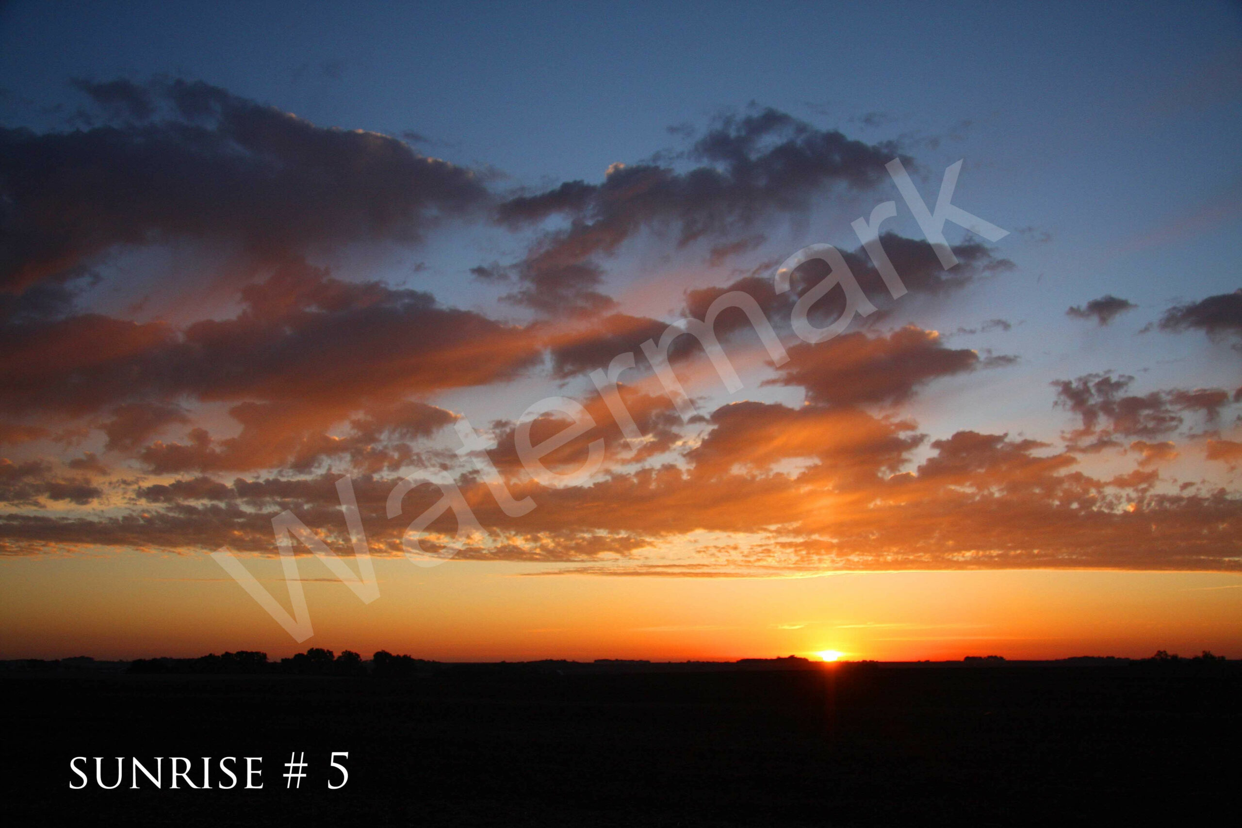 04-24-2012 DLL NE AM 028 # 5 wo br copy_wm