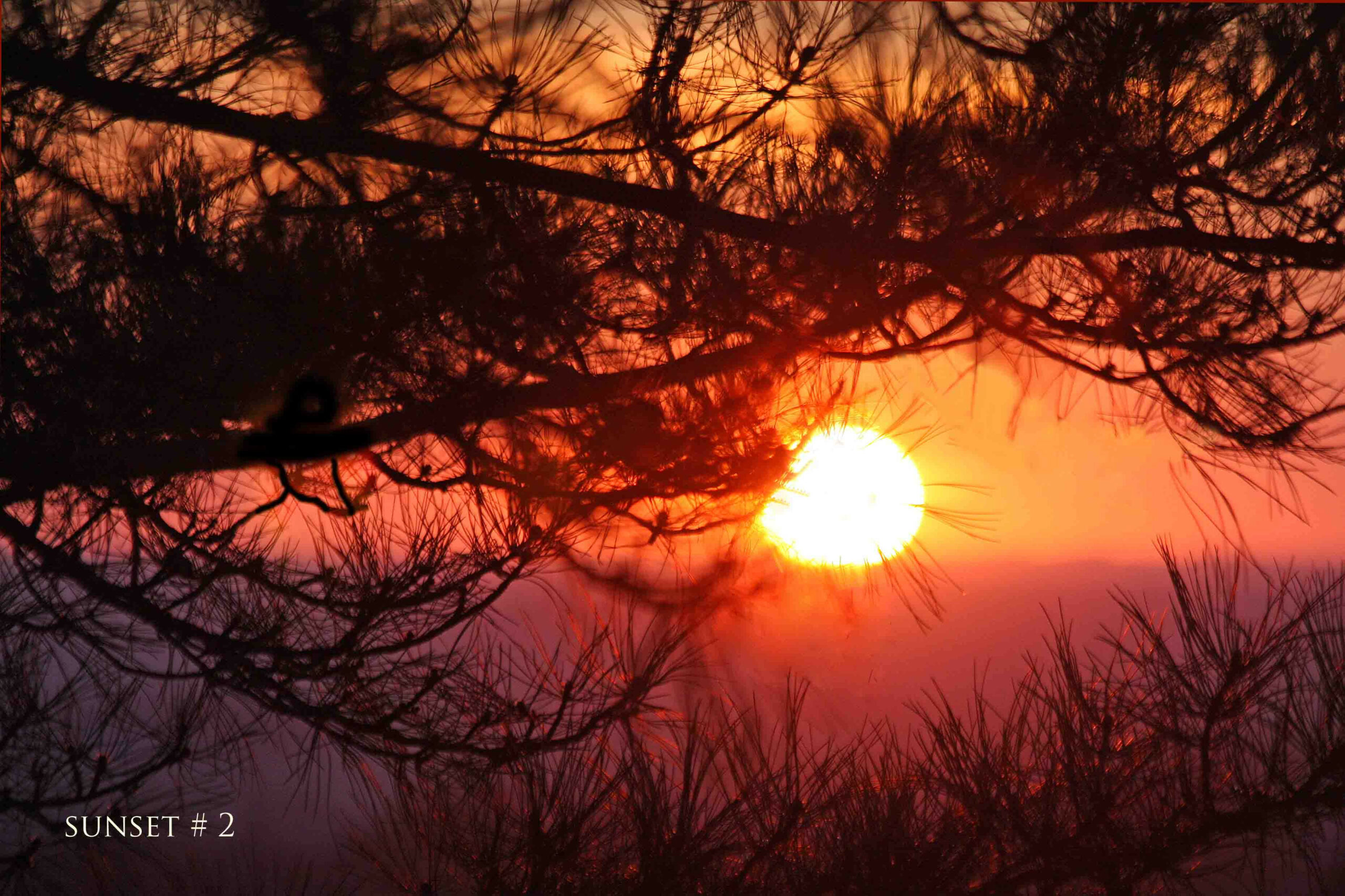Photography #33070 from 2020-02-28 Sunset