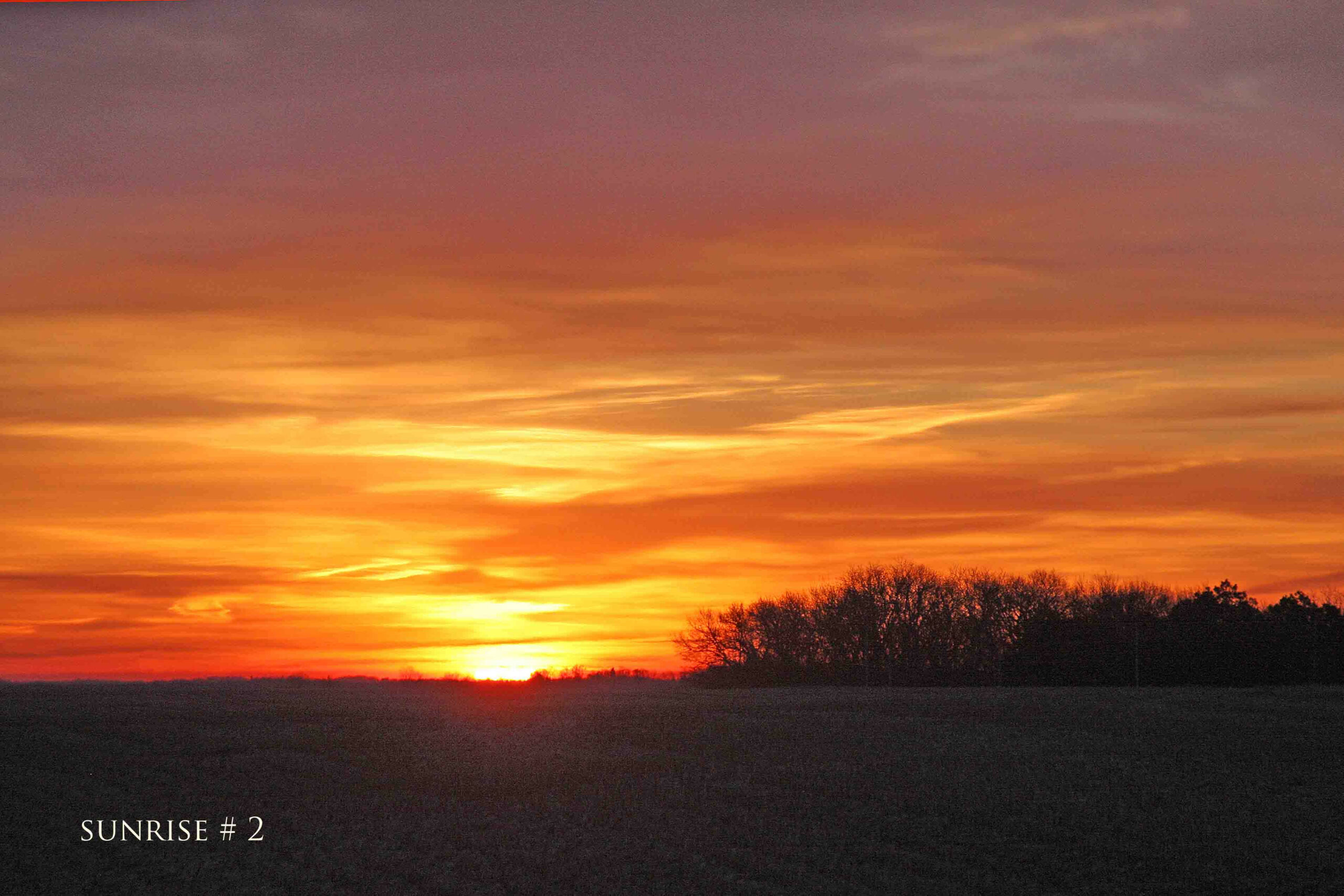 Photography #33138 from 2020-03-01 Sunrise