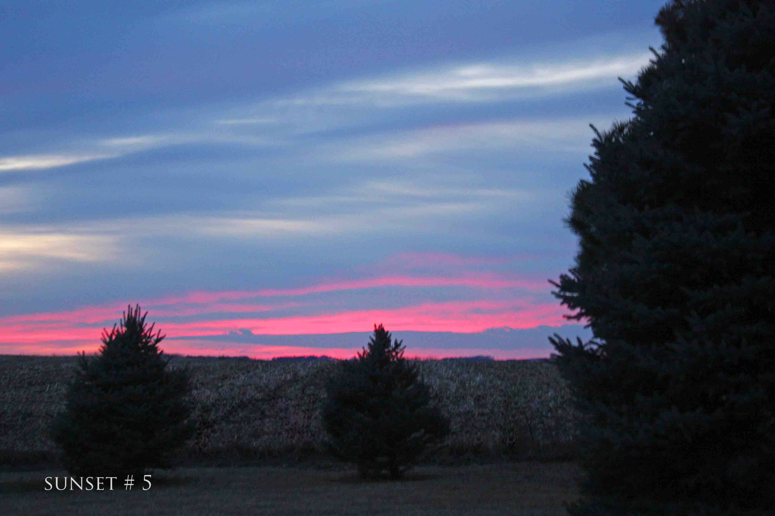 Photography #33162 from 2020-03-02 Sunset