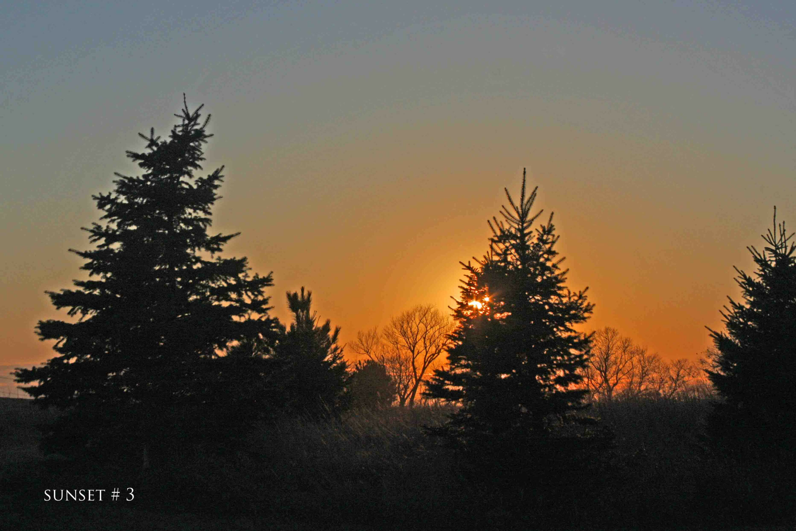 Photography #33994 from 2020-03-29 Sunset