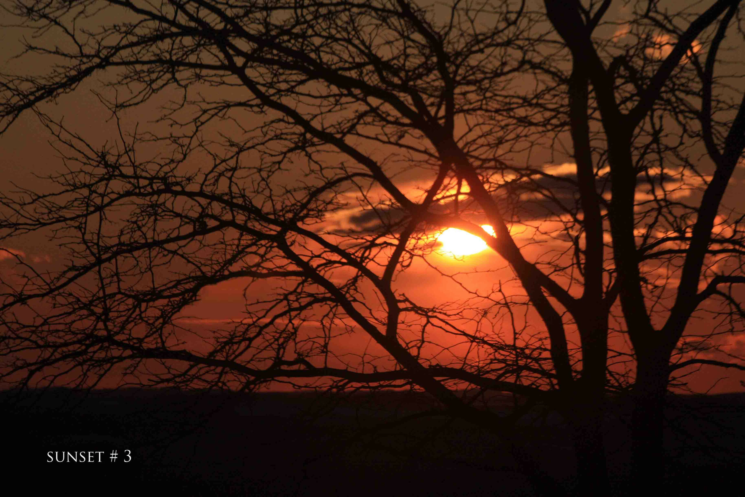 Photography #34869 from 2020-04-13 Sunset