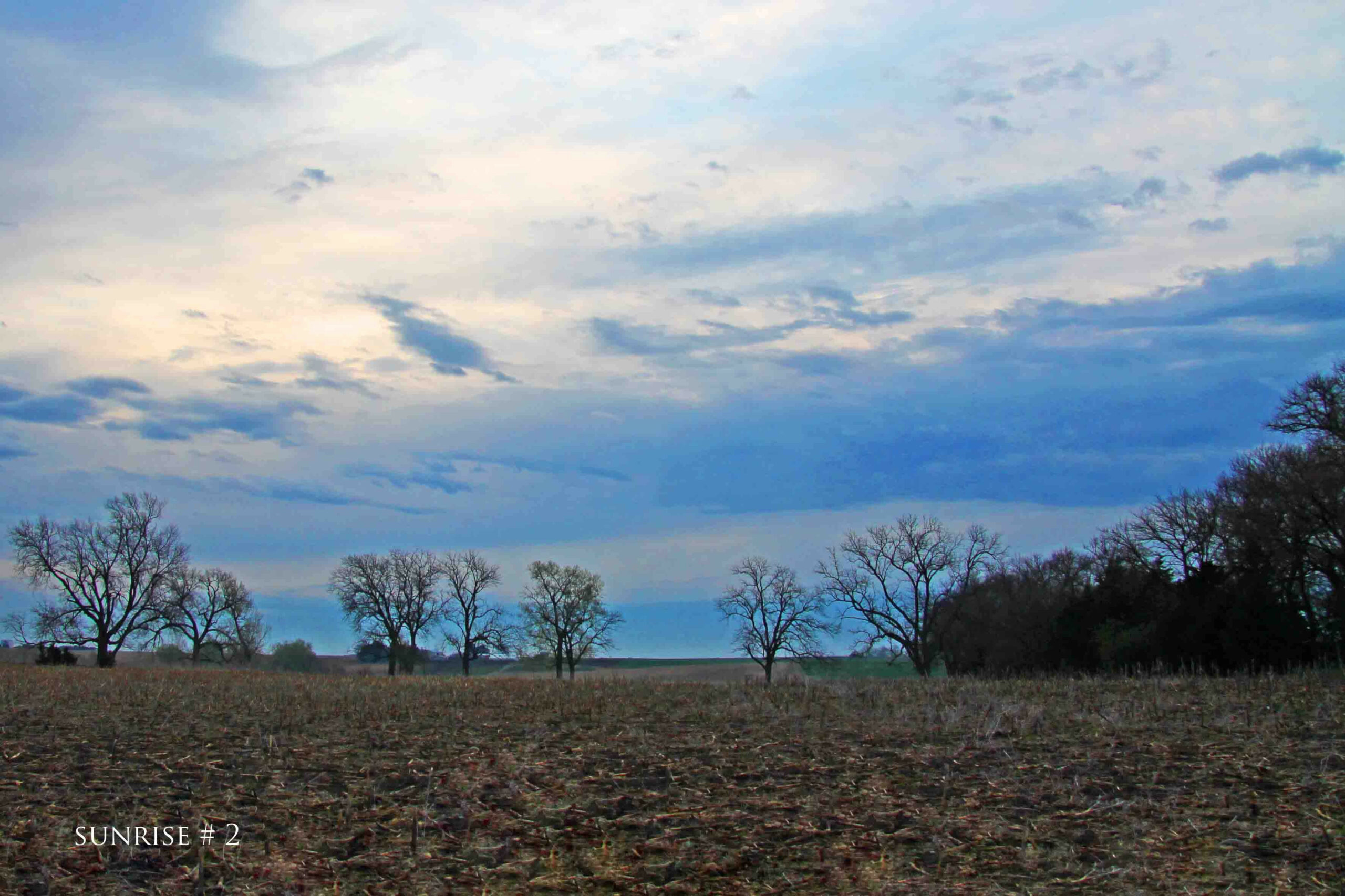 Photography #35214 from 2020-04-28 Sunrise