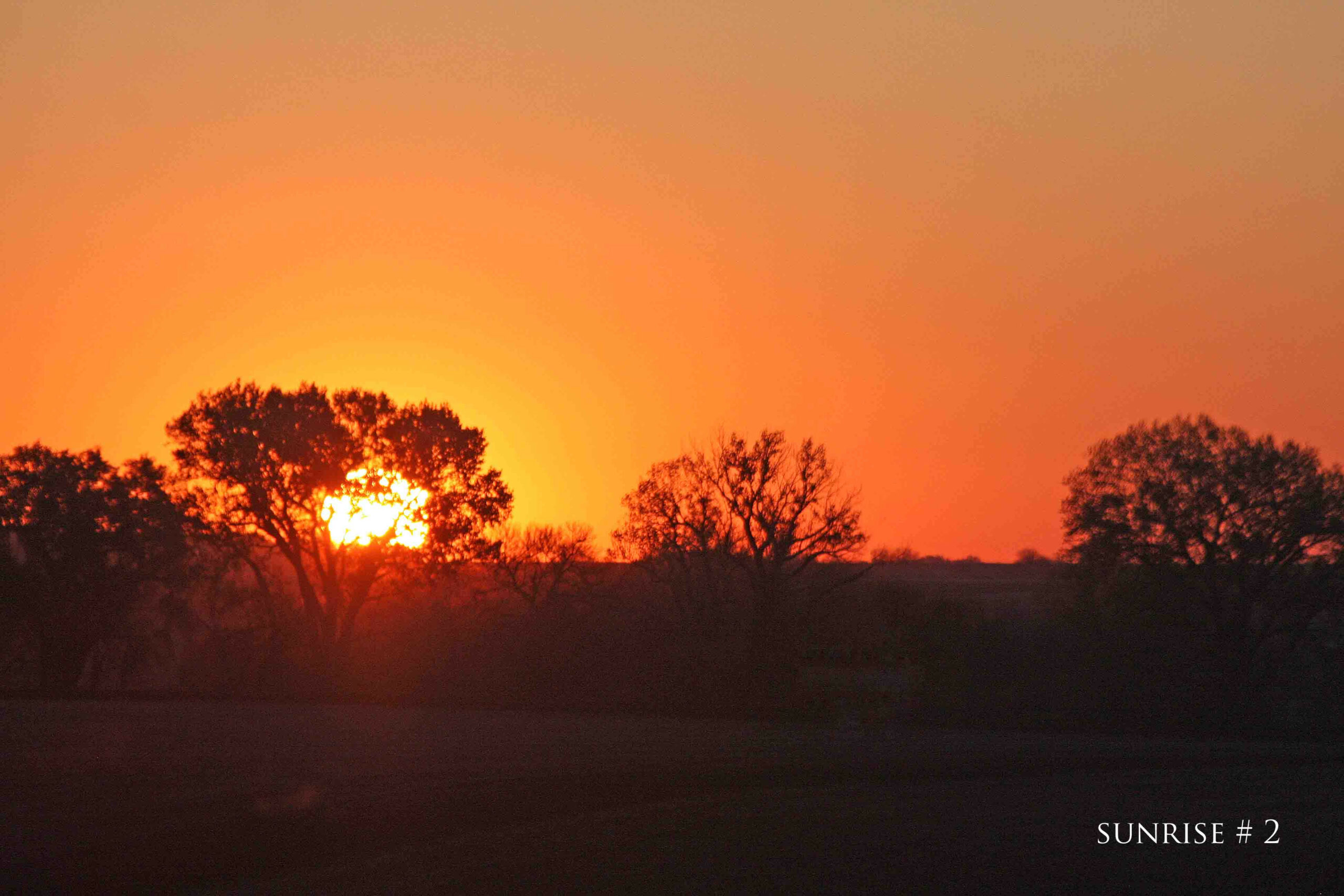 Photography #35380 from 2020-05-08 Sunrise