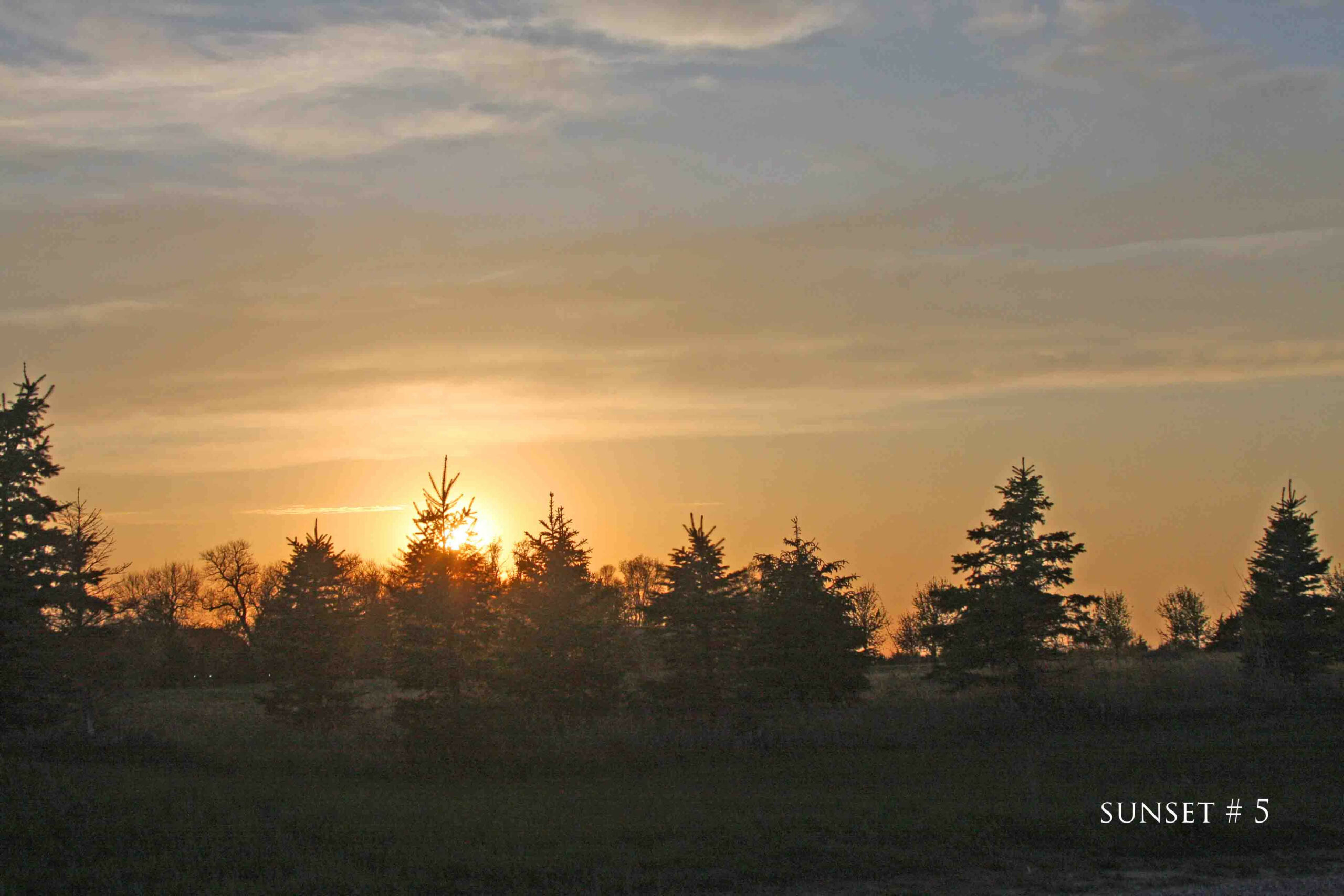 Photography #35446 from 2020-05-14 Sunset