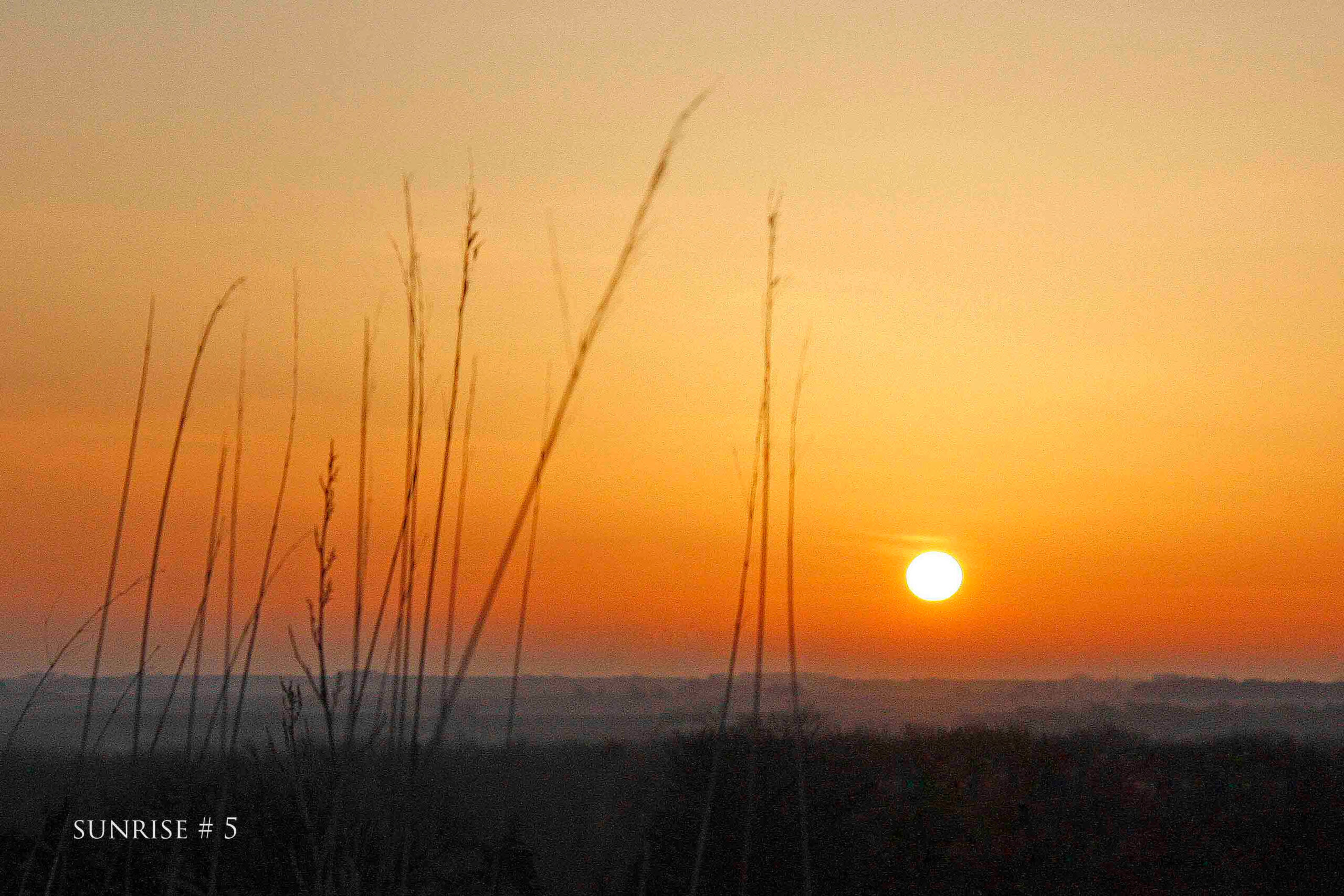 03-19-2011 DLL NE 025 # 5 wo br Improved 2020-07-13 copy