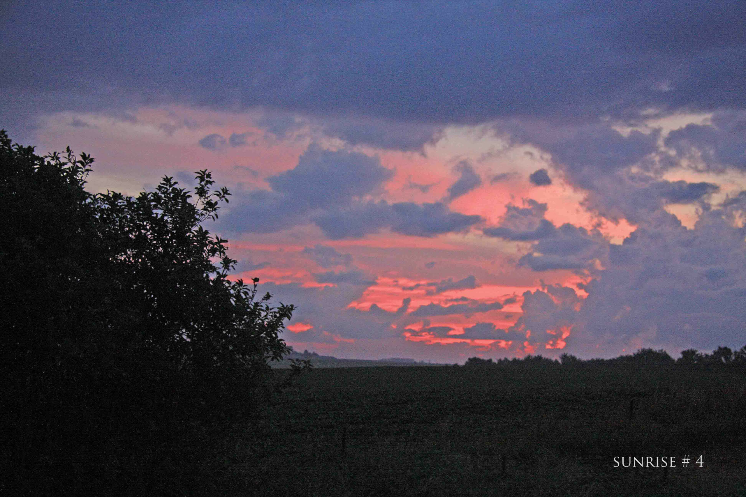 2020-07-03 IMG_1922 DLL NE AM # 4 copy