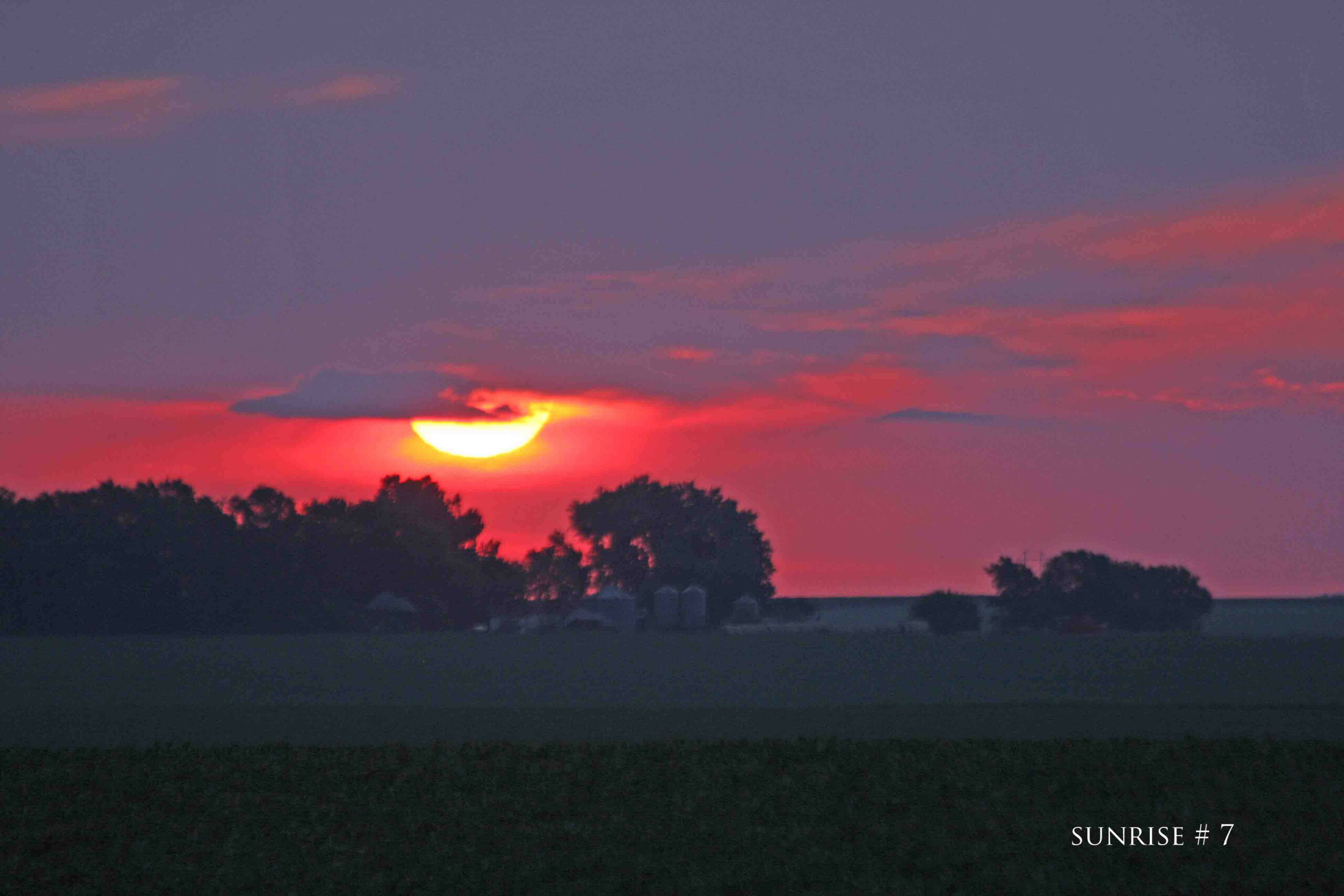 Photography #35790 from 2020-07-07 Sunrise