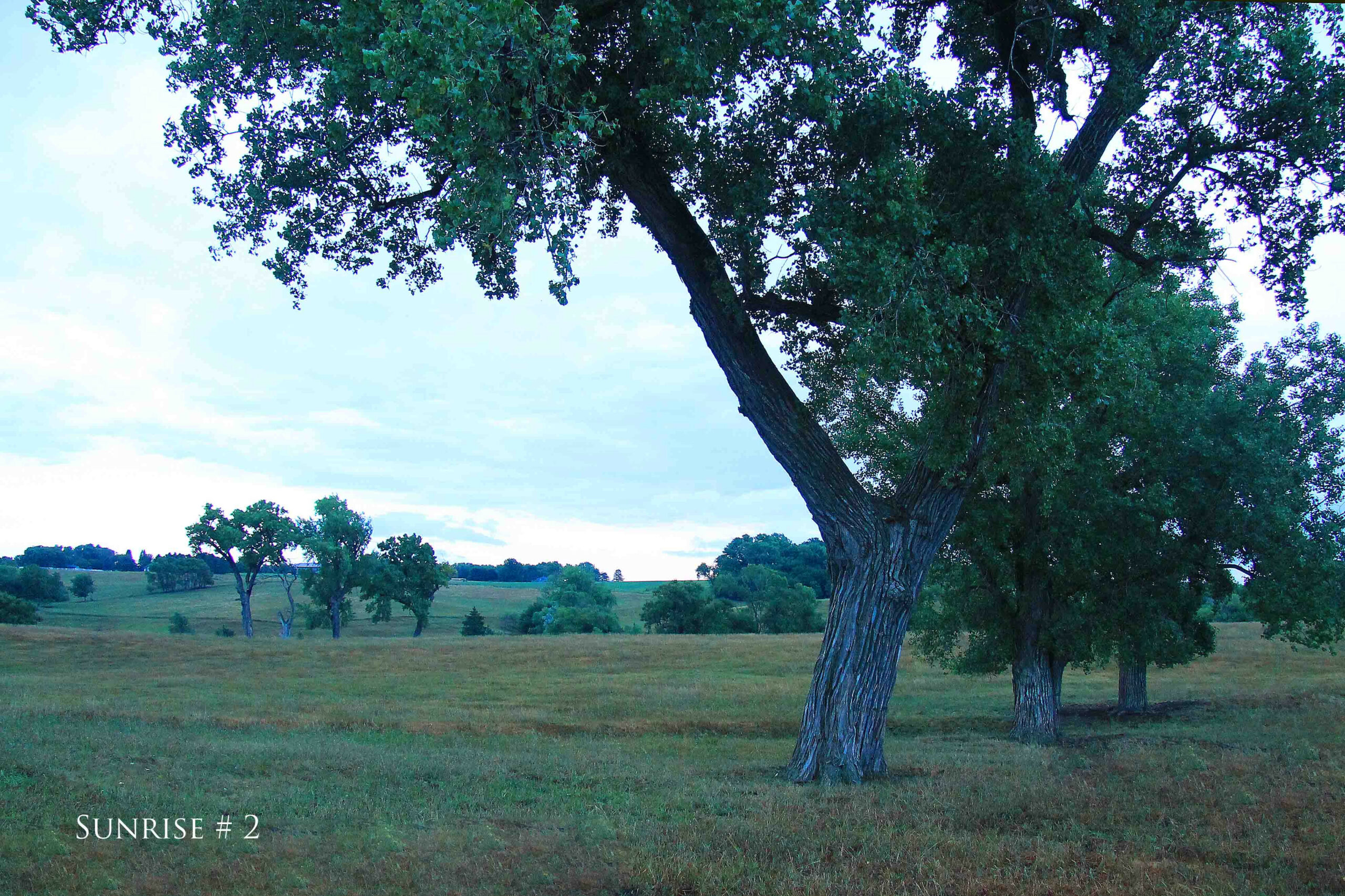 Photography #36063 from 2020-07-21 Sunrise