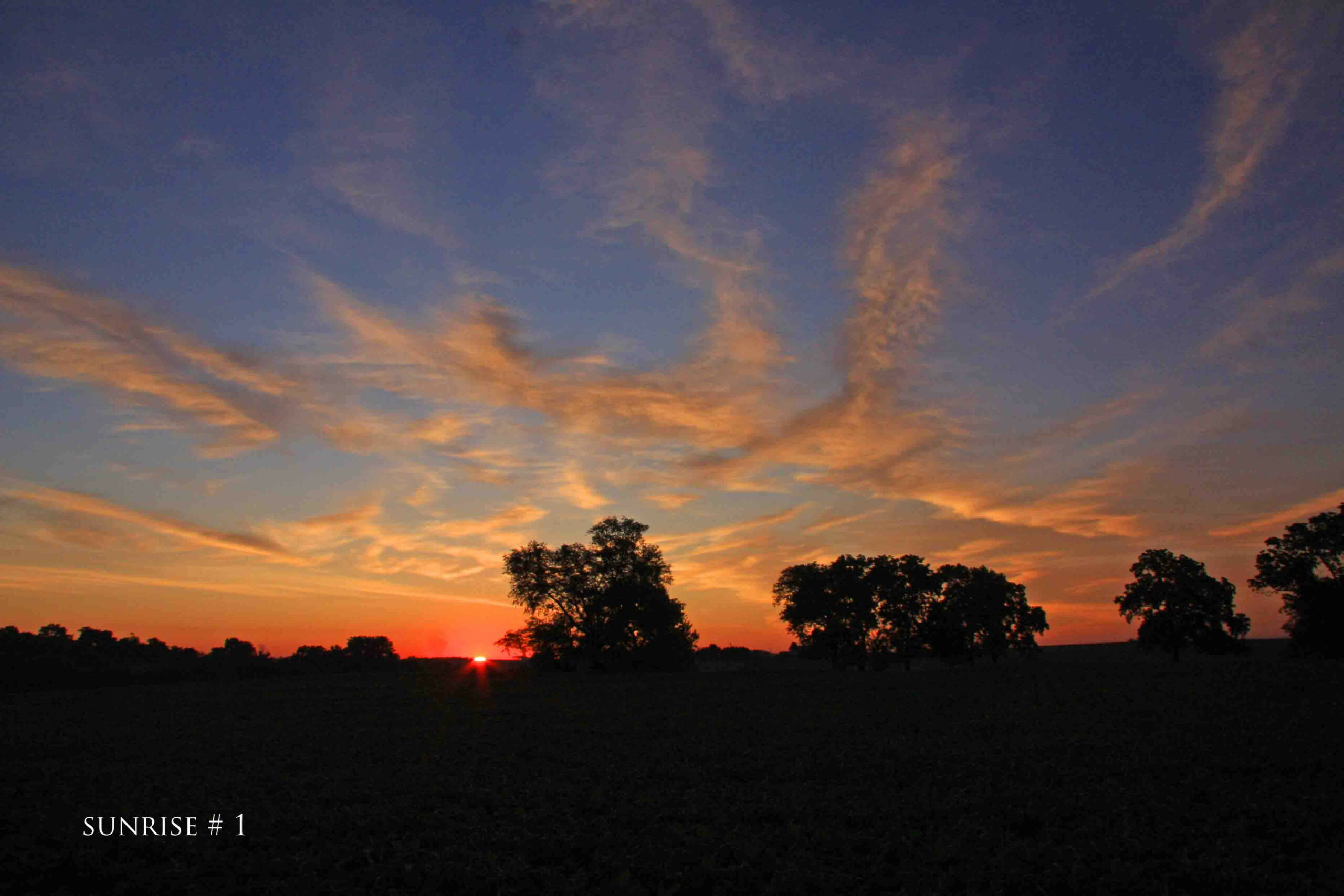 Photography #36127 from 2020-07-22 Sunrise