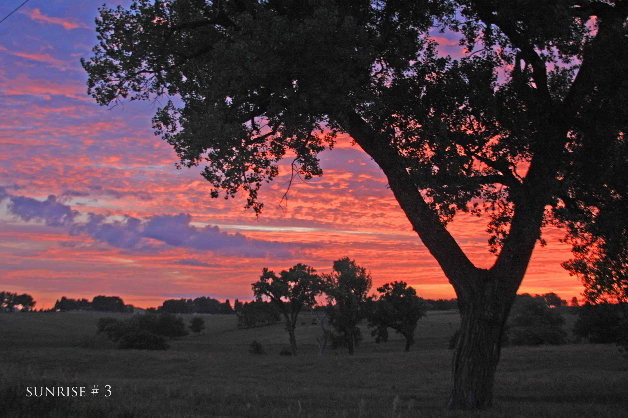 Photography #36352 from 2020-07-30 Sunrise