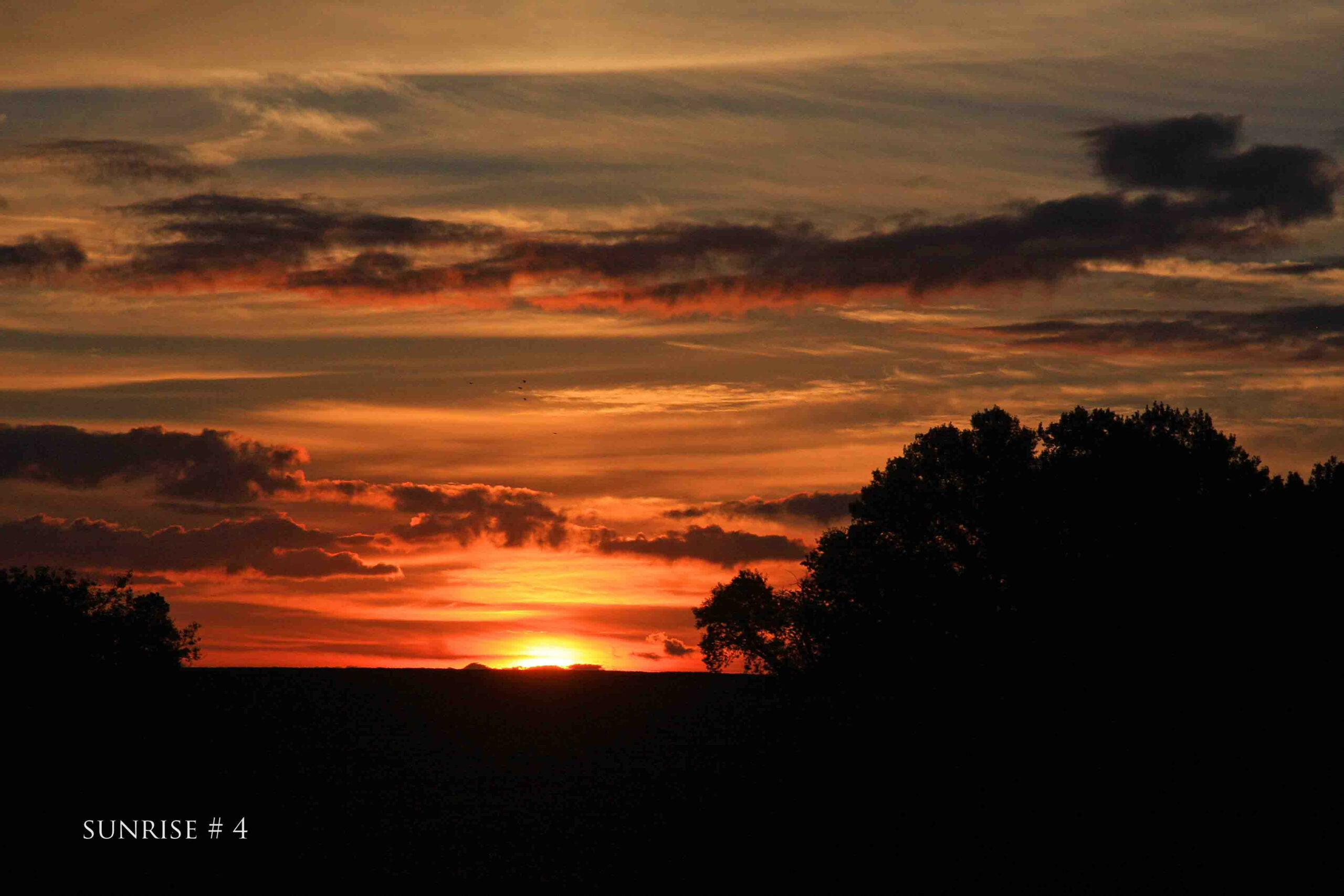 Photography #36362 from 2020-07-31 Sunrise