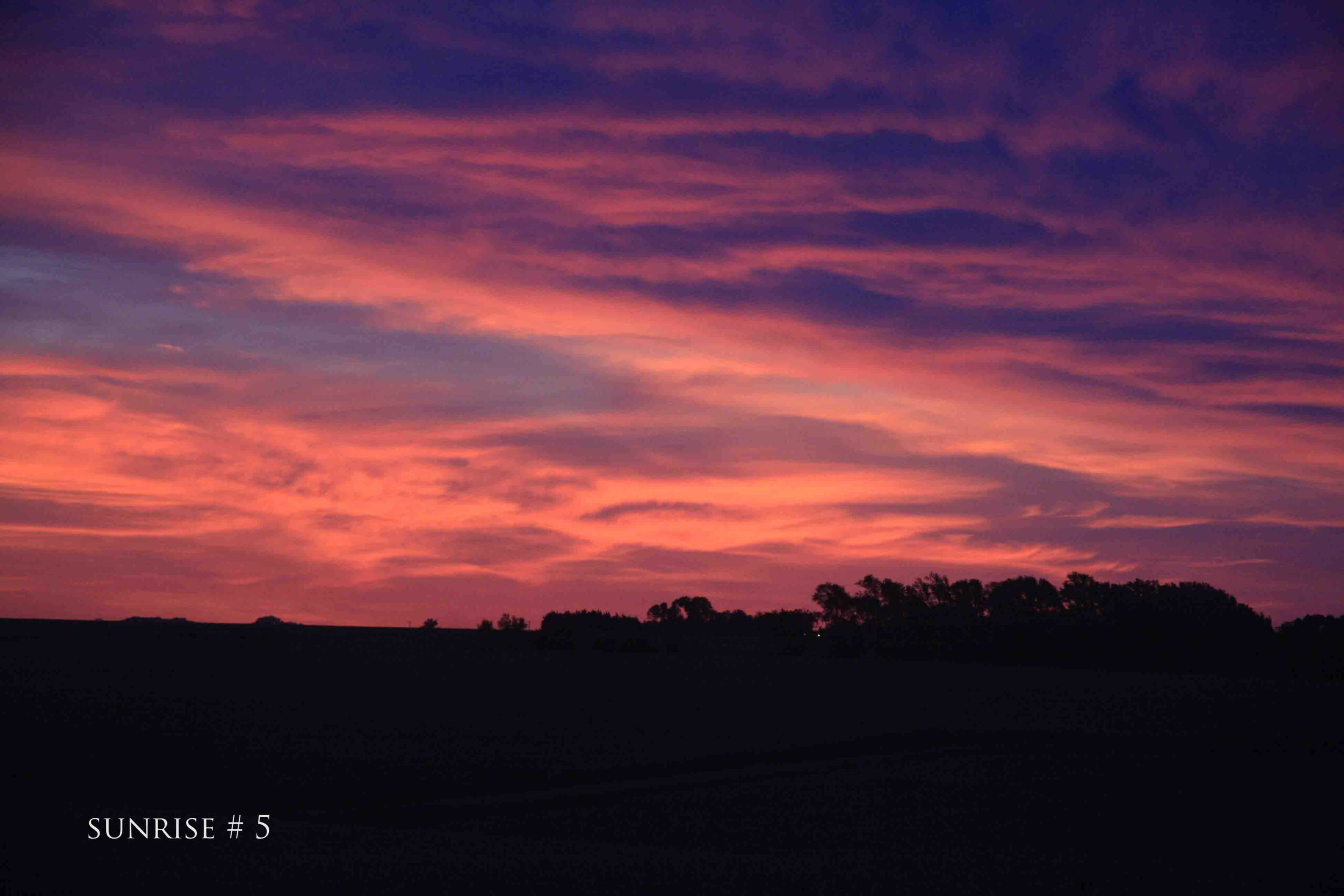 Photography #37379 from 2020-06-03 Sunrise