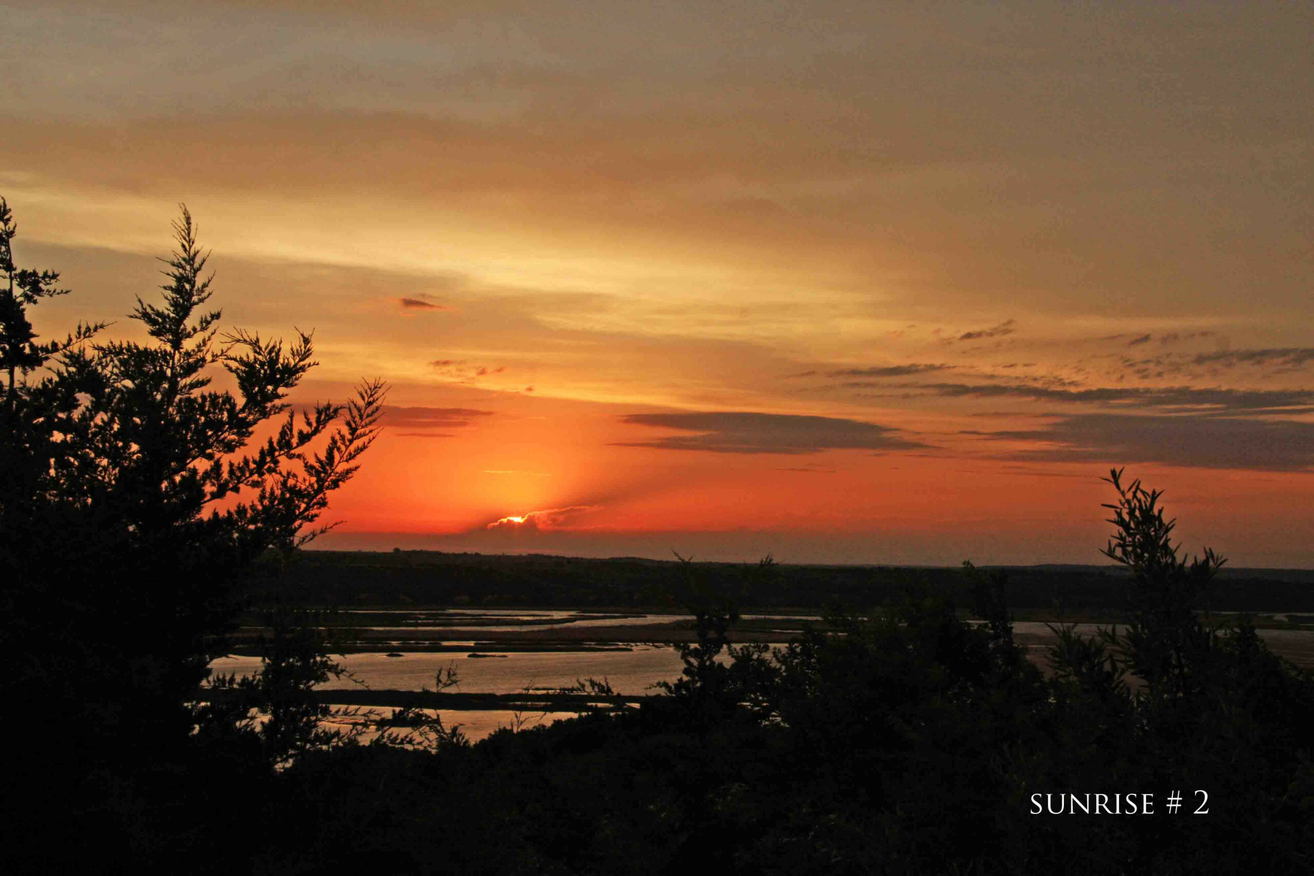 Photography #37421 from 2020-06-06 Sunrise