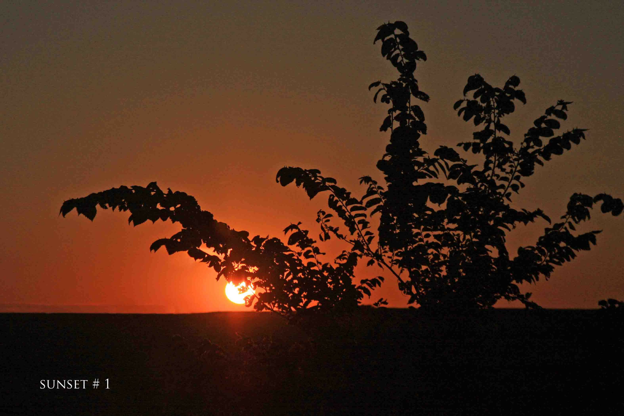 Photography #36580 from 2020-08-03 Sunset