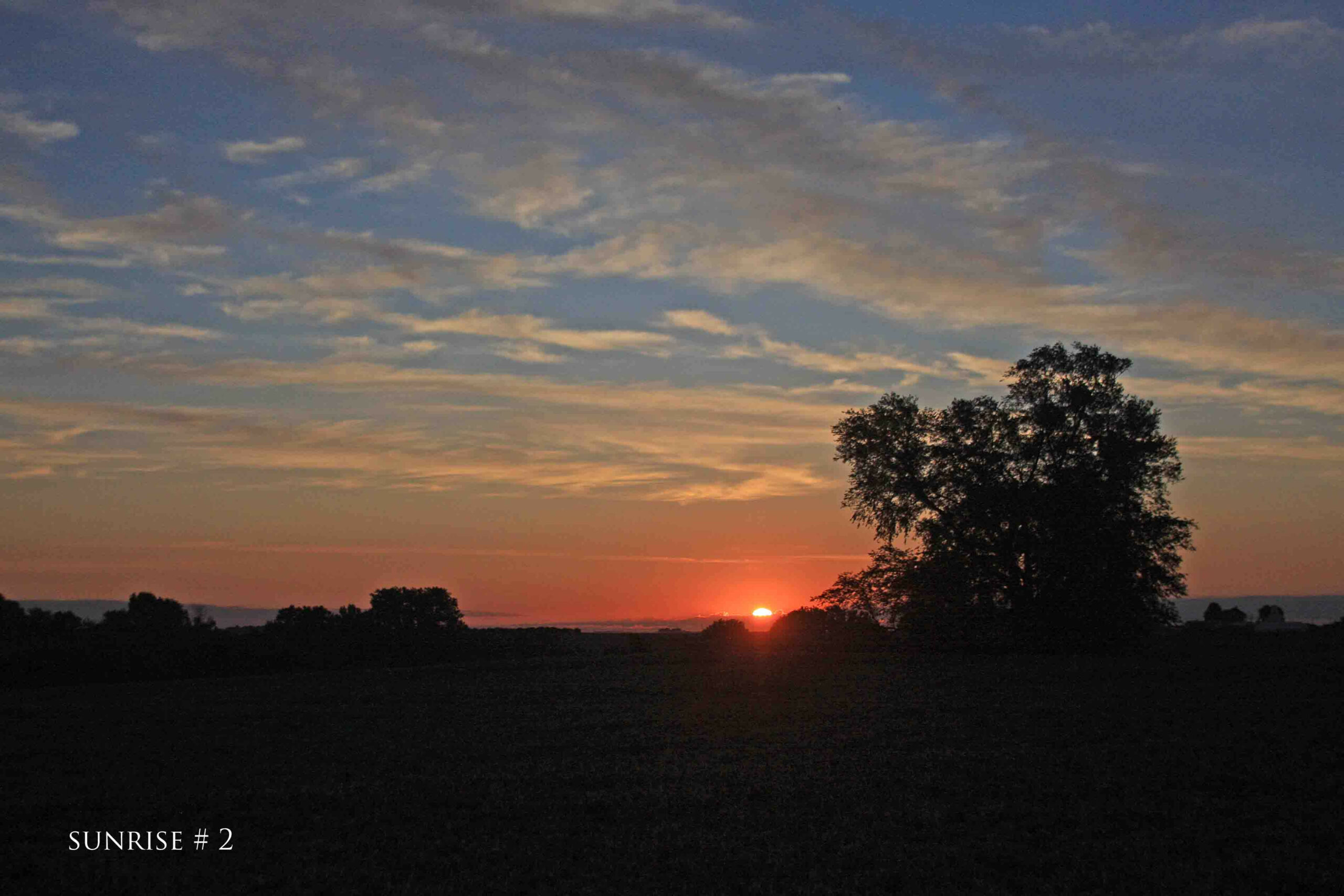 Photography #36602 from 2020-08-04 Sunrise