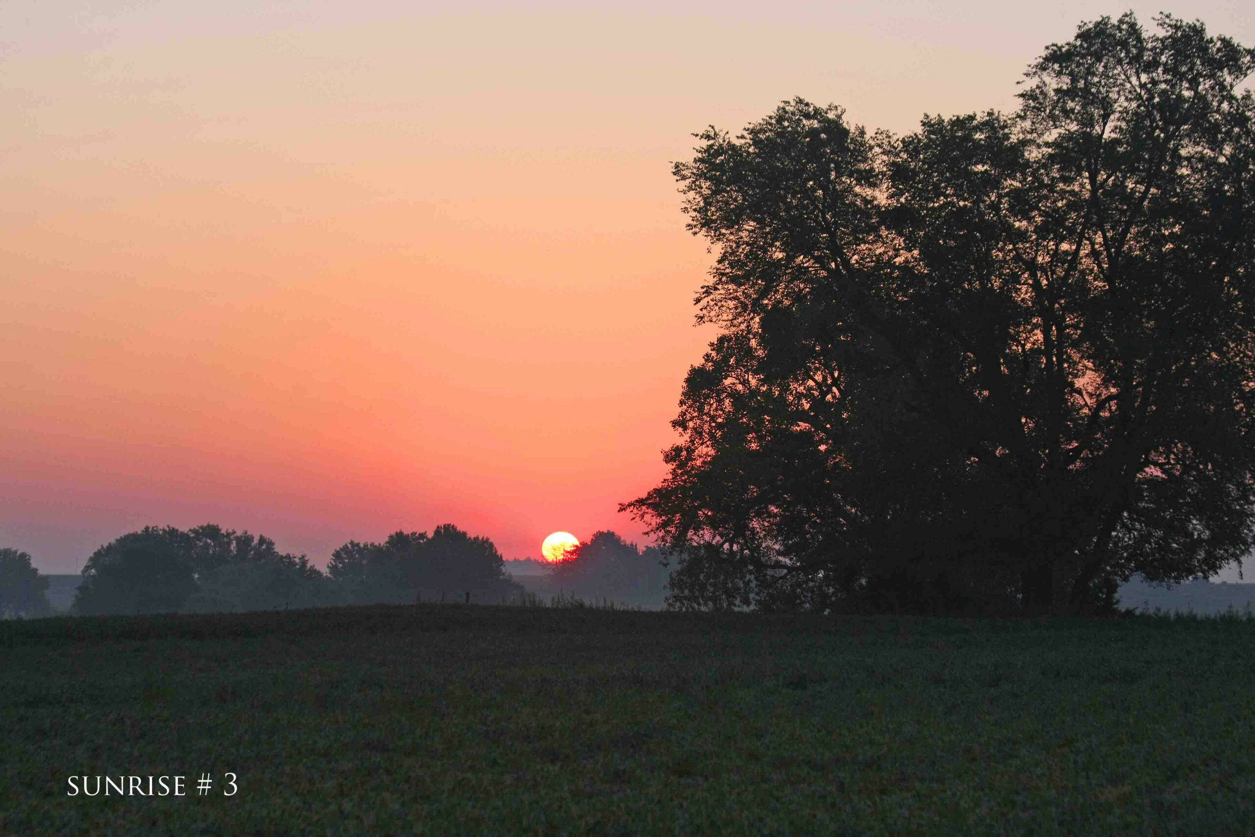 Photography #36948 from 2020-08-23 Sunrise