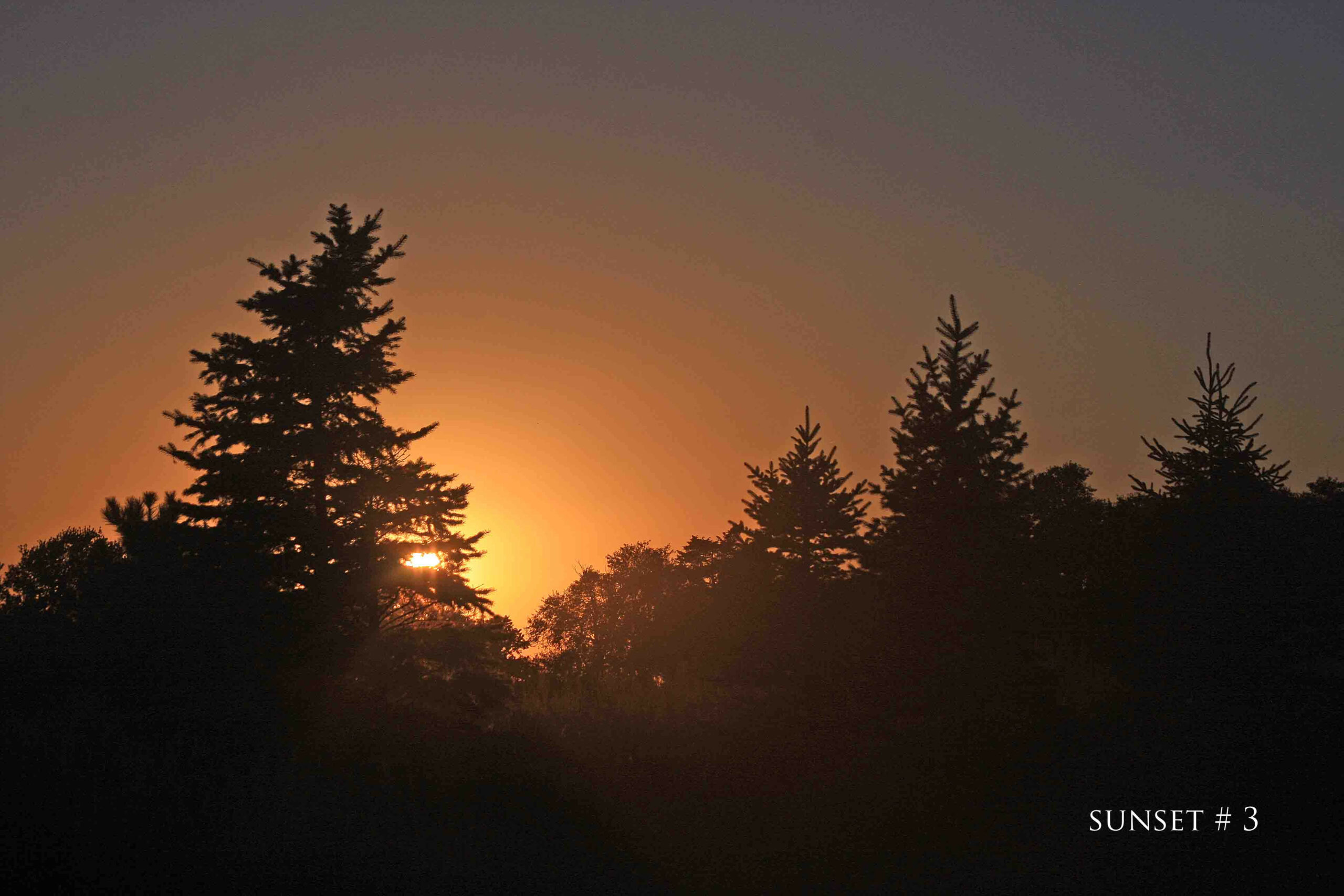 2020-09-04 IMG_1048 DLL NE PM # 3 copy